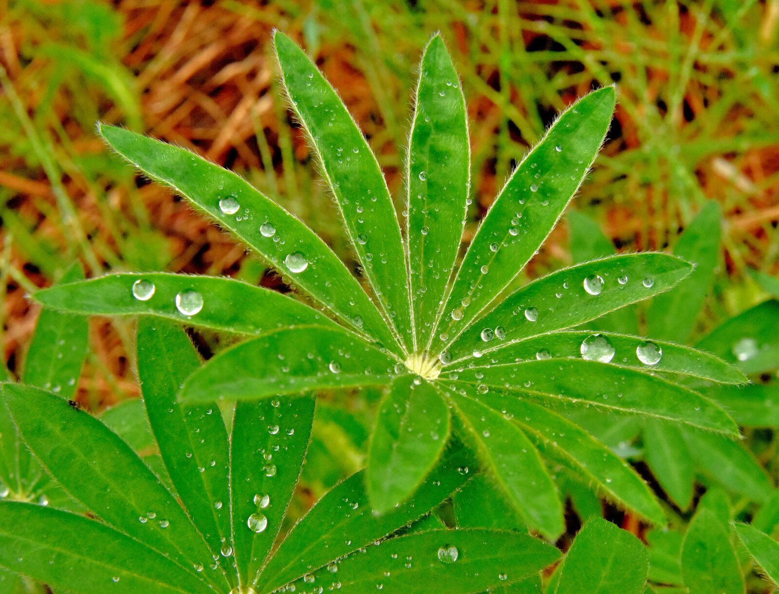 Valokuvaaja: Reijo Juurinen Valokuvaaja: Reijo Juurinen