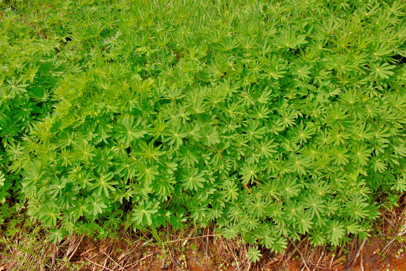 Valokuvaaja: Reijo Juurinen