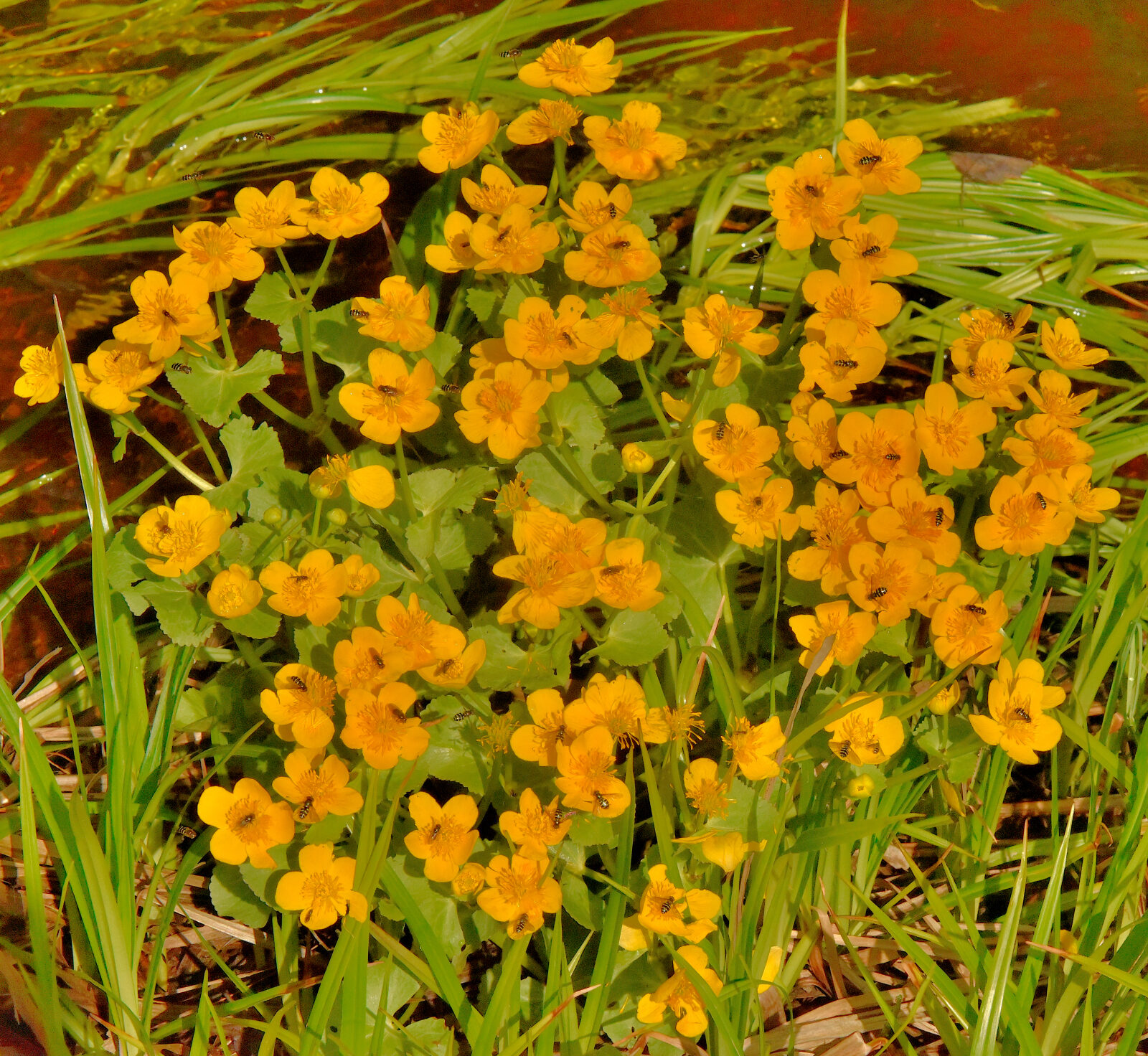 Valokuvaaja: Reijo Juurinen