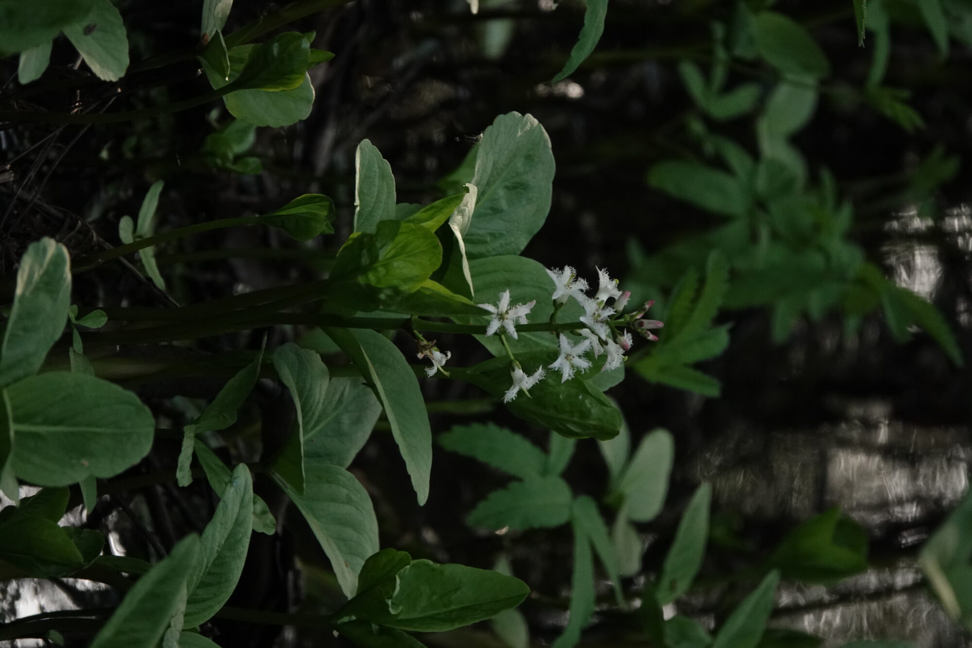 Valokuvaaja: Jenna Pitkänen