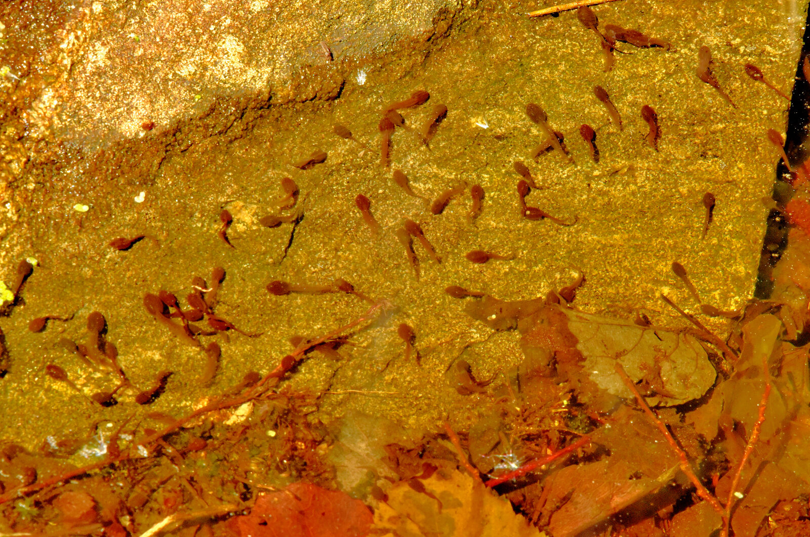 Valokuvaaja: Reijo Juurinen