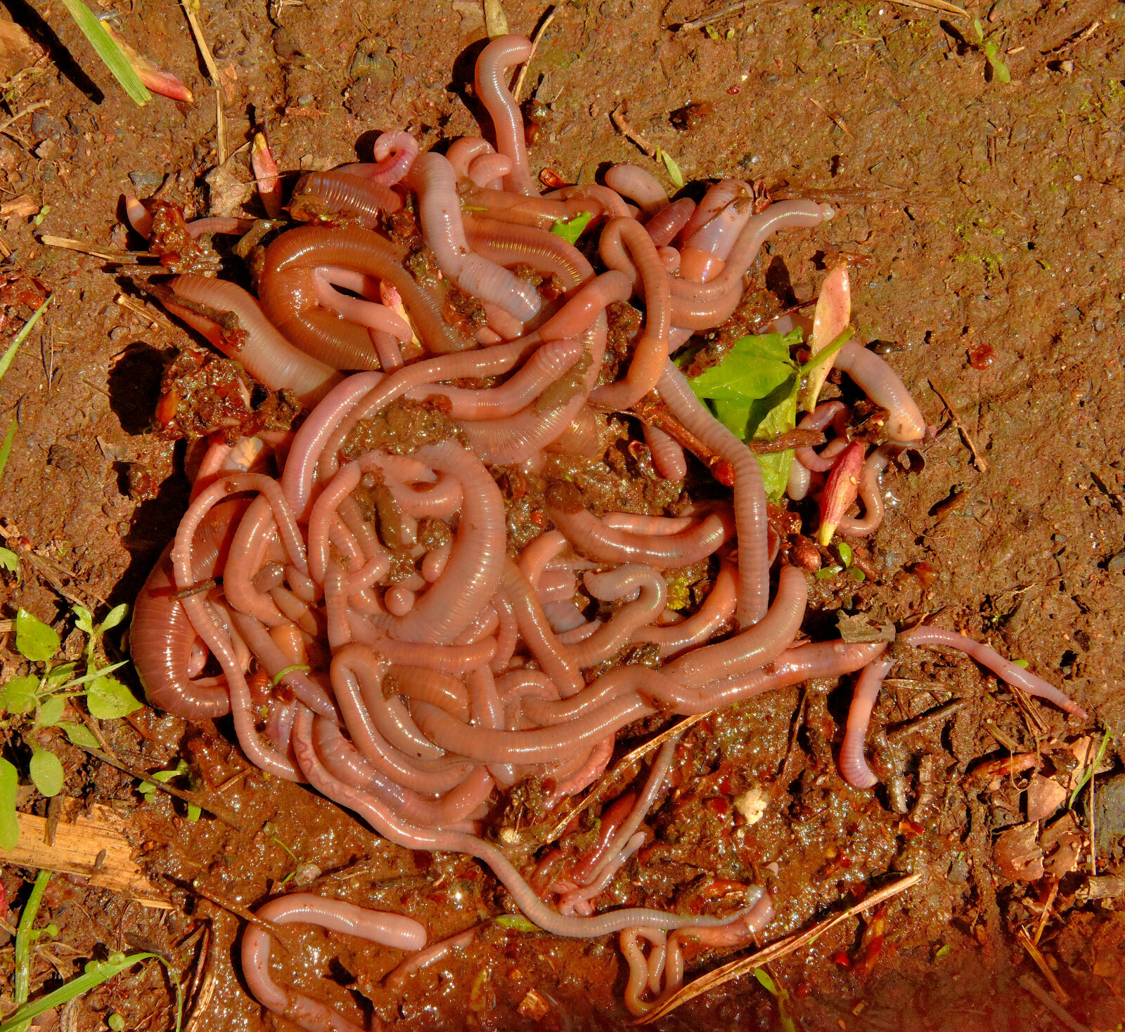 Valokuvaaja: Reijo Juurinen