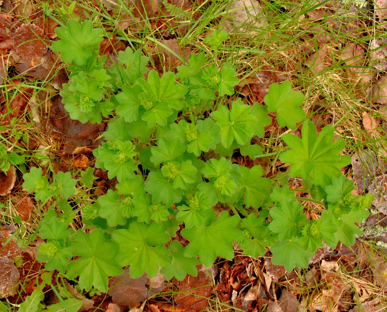 Valokuvaaja: Reijo Juurinen