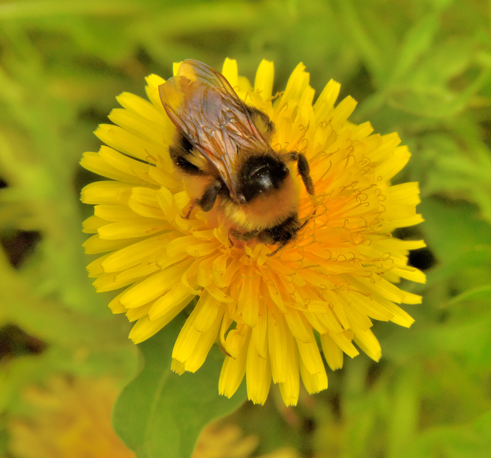 Valokuvaaja: Reijo Juurinen
