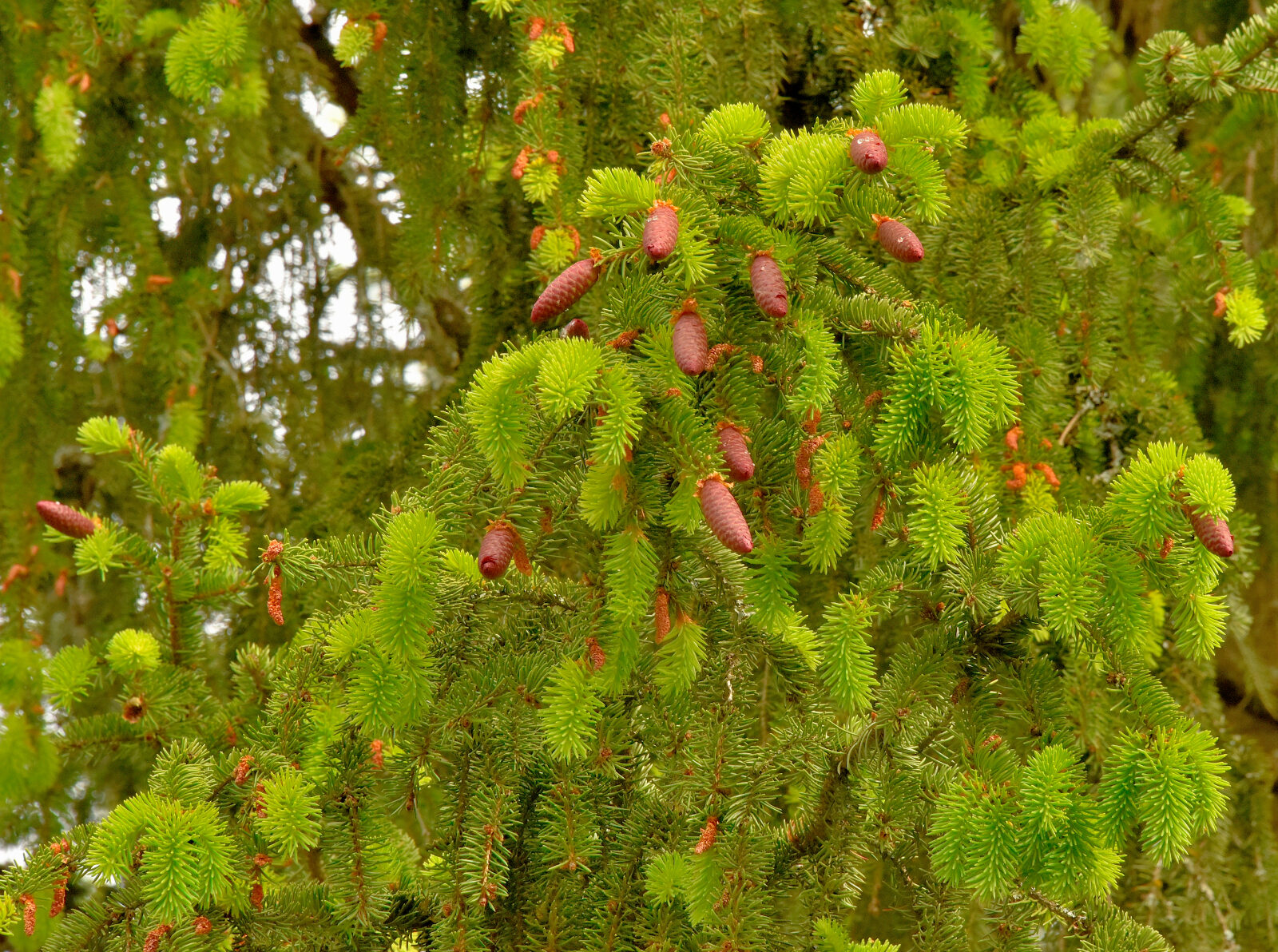 Valokuvaaja: Reijo Juurinen