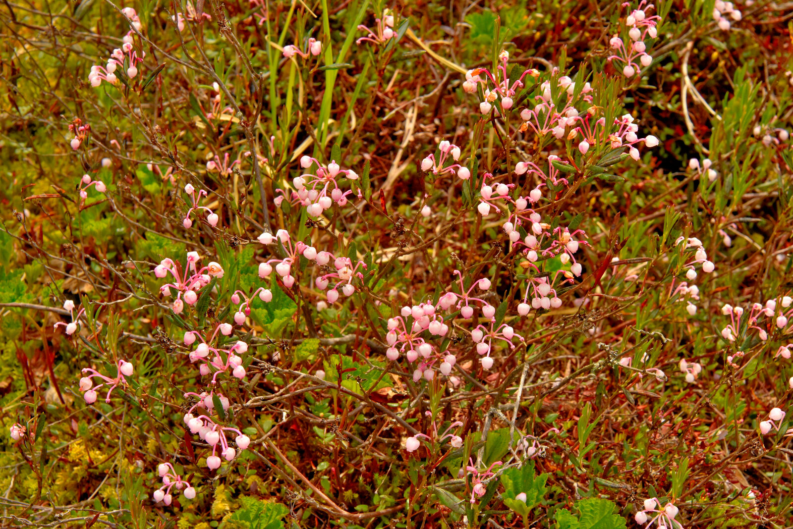 Valokuvaaja: Reijo Juurinen