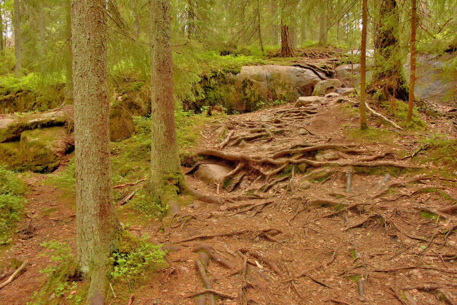 Valokuvaaja: Reijo Juurinen