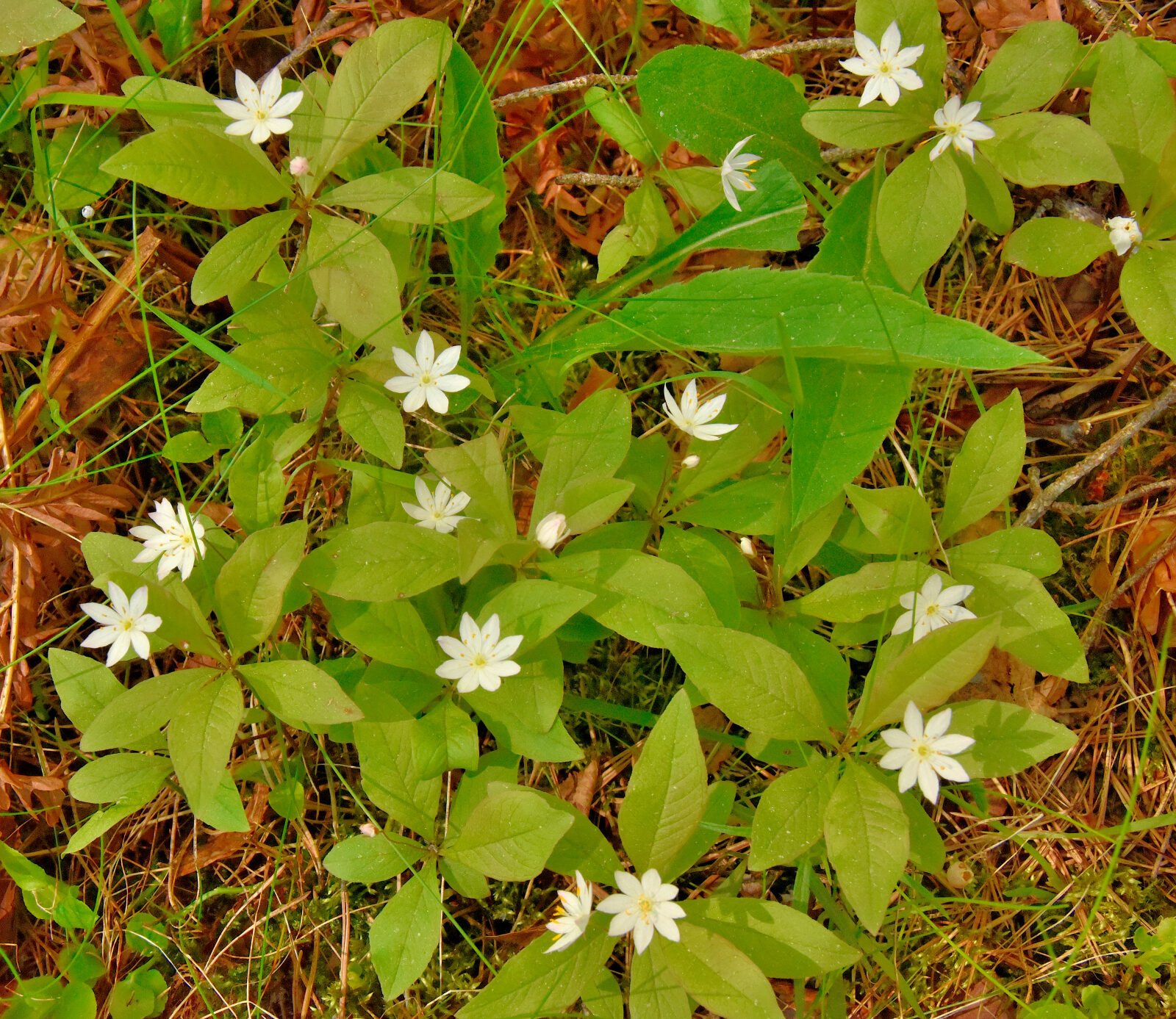 Valokuvaaja: Reijo Juurinen