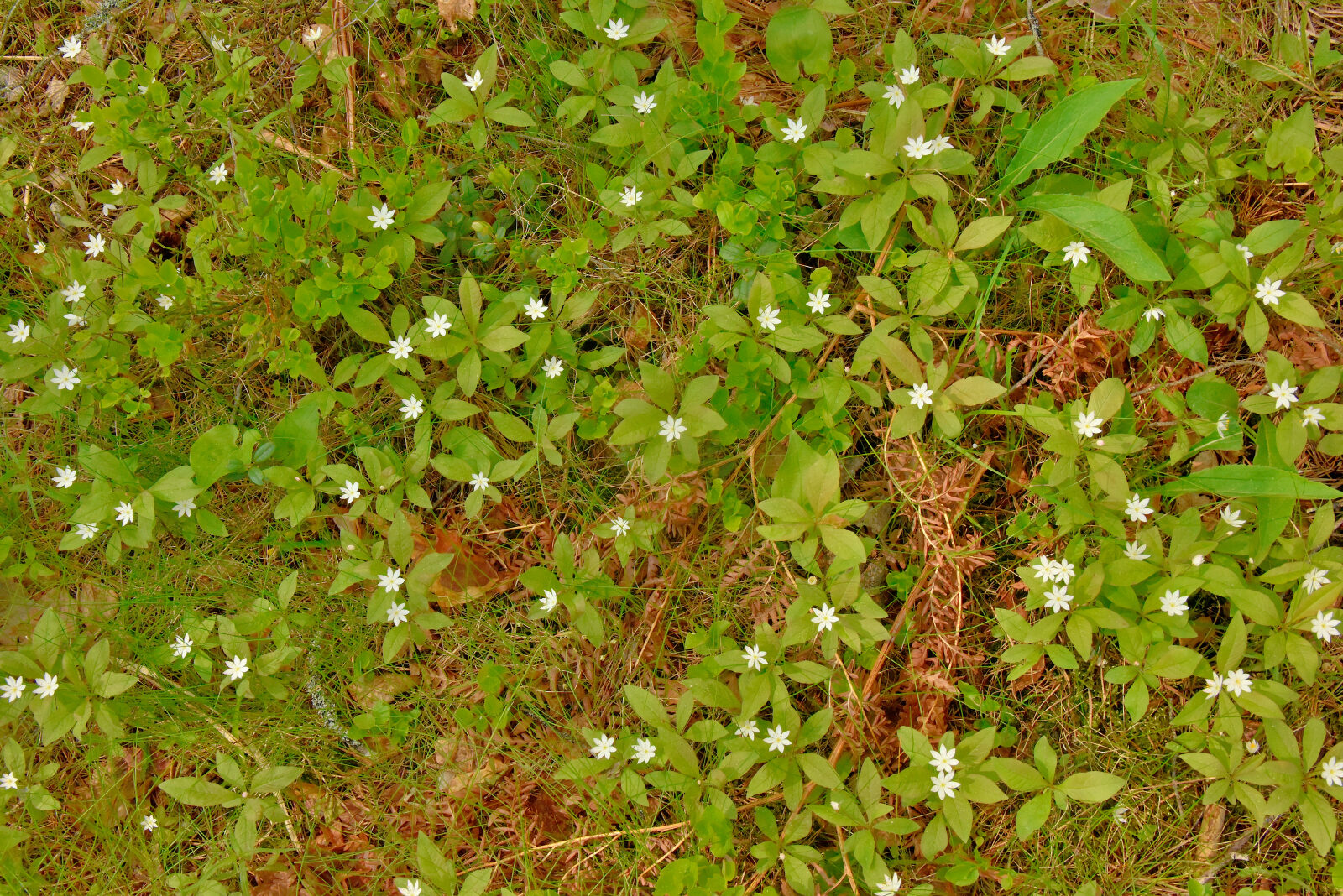 Valokuvaaja: Reijo Juurinen