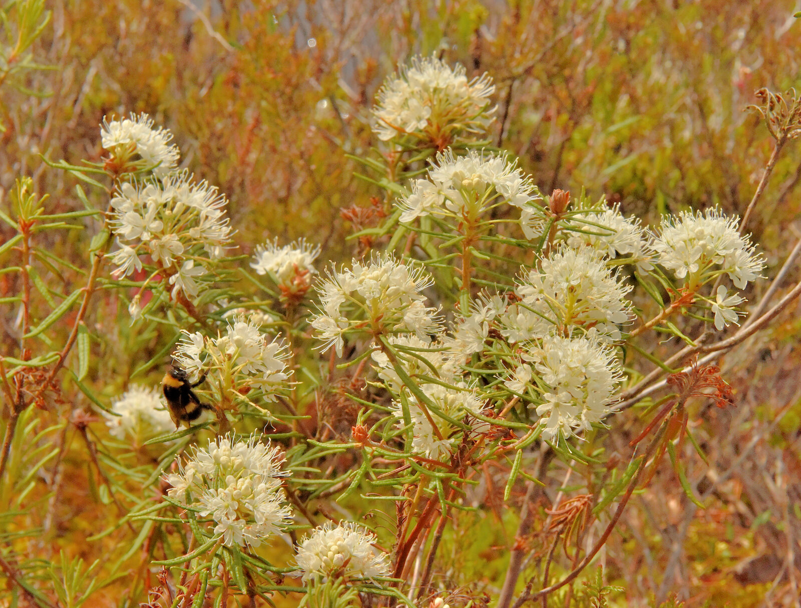 Valokuvaaja: Reijo Juurinen