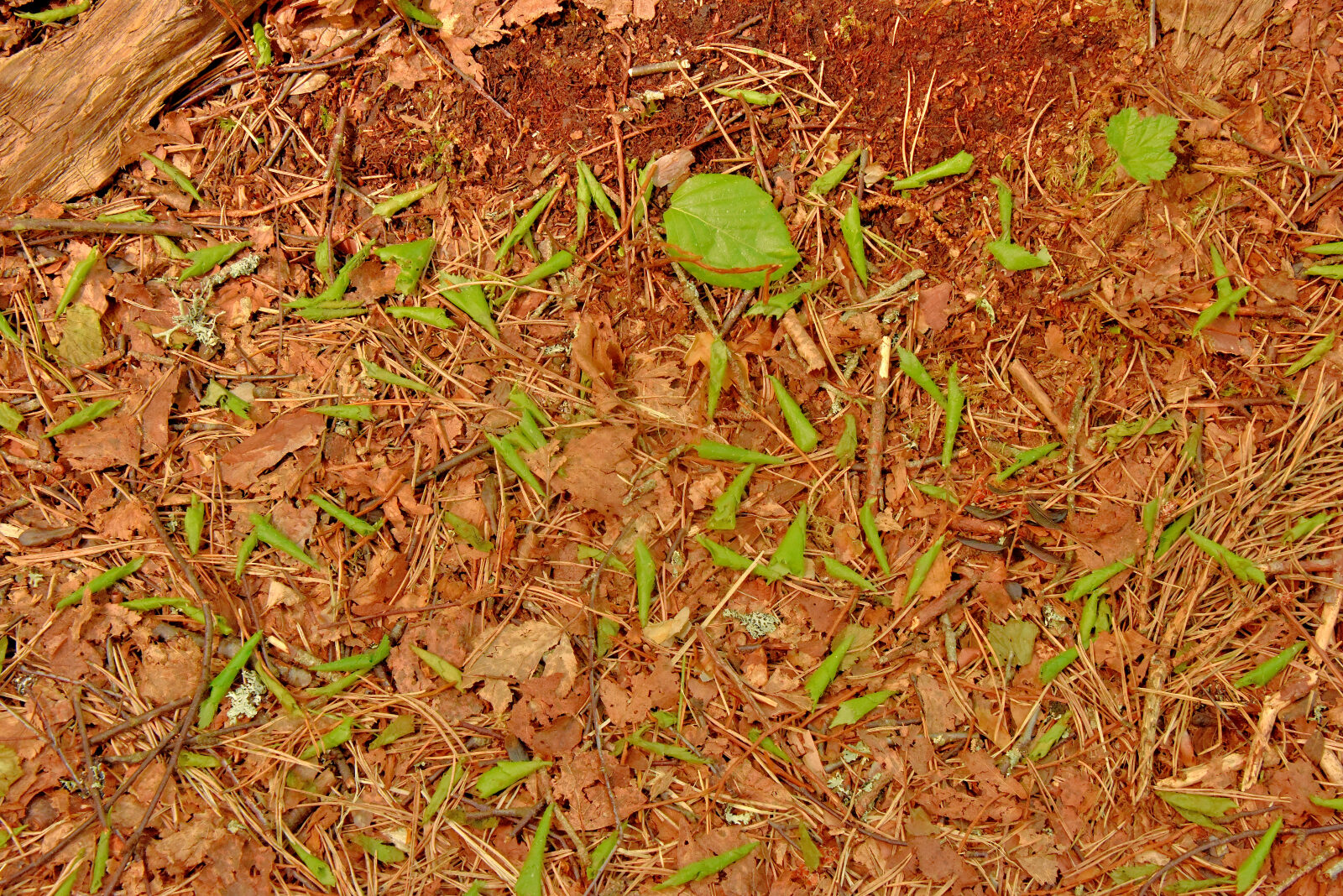 Valokuvaaja: Reijo Juurinen