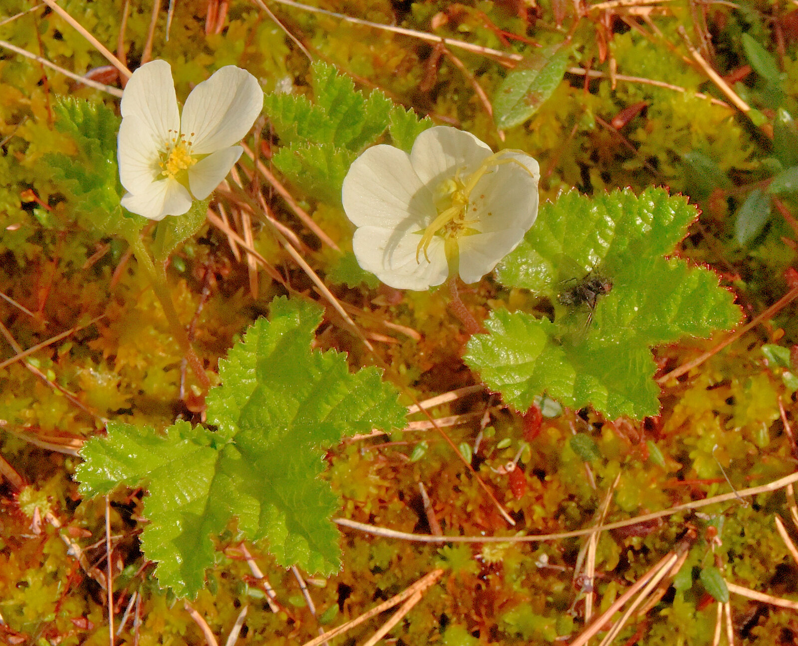Valokuvaaja: Reijo Juurinen