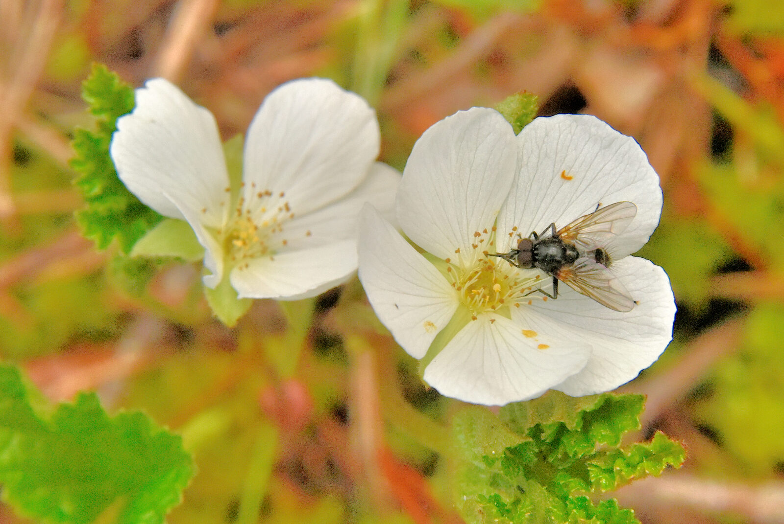 Valokuvaaja: Reijo Juurinen