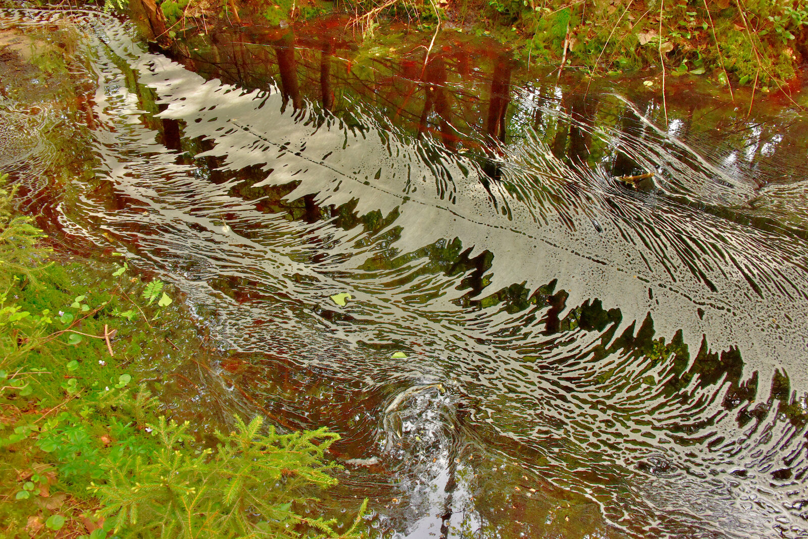 Valokuvaaja: Reijo Juurinen