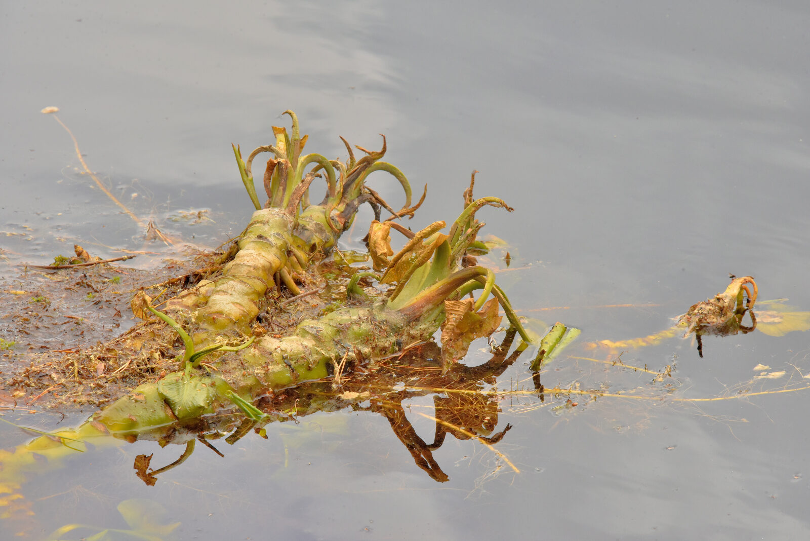 Valokuvaaja: Reijo Juurinen