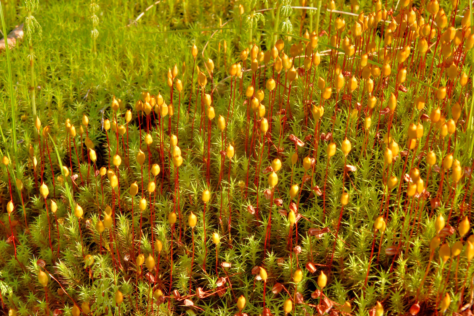 Valokuvaaja: Reijo Juurinen