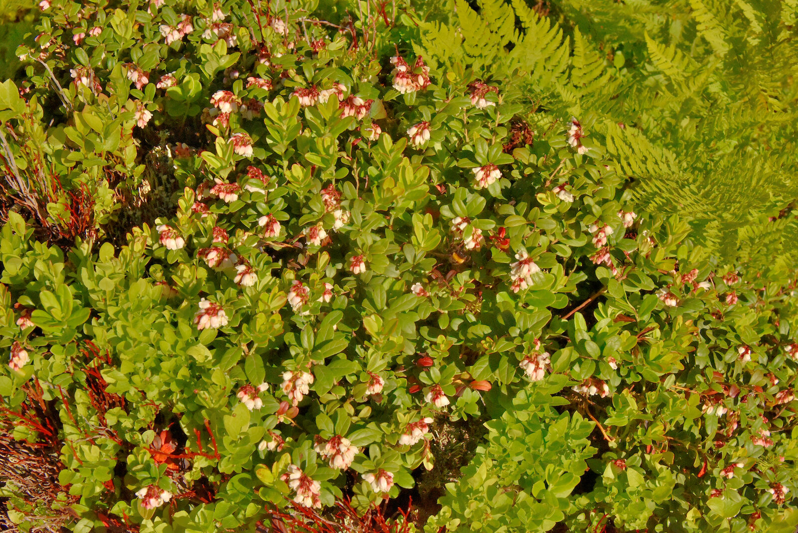Valokuvaaja: Reijo Juurinen