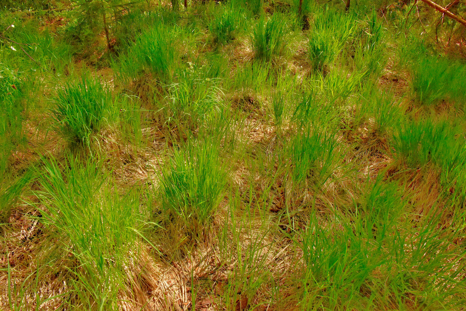 Valokuvaaja: Reijo Juurinen