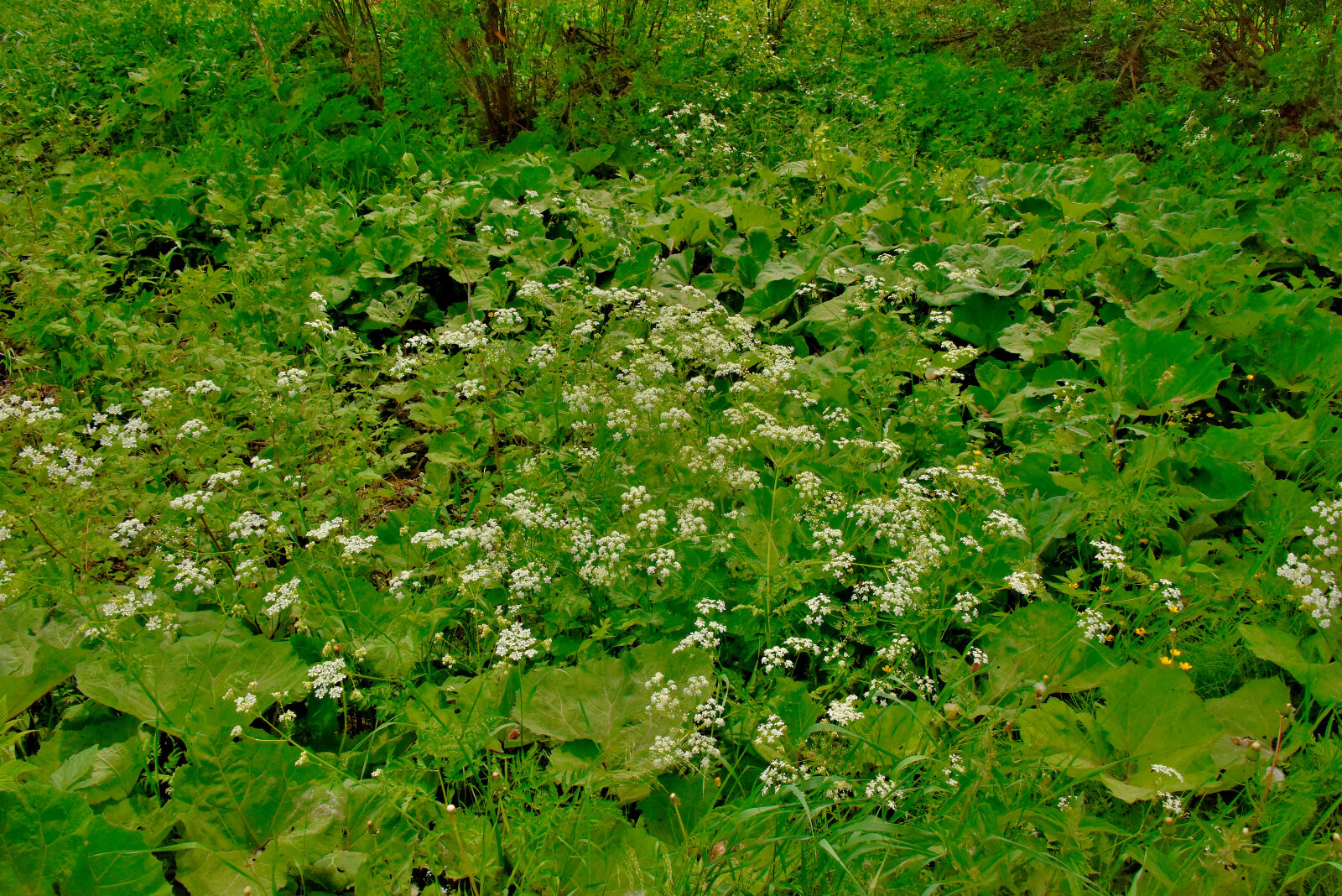 Valokuvaaja: Reijo Juurinen