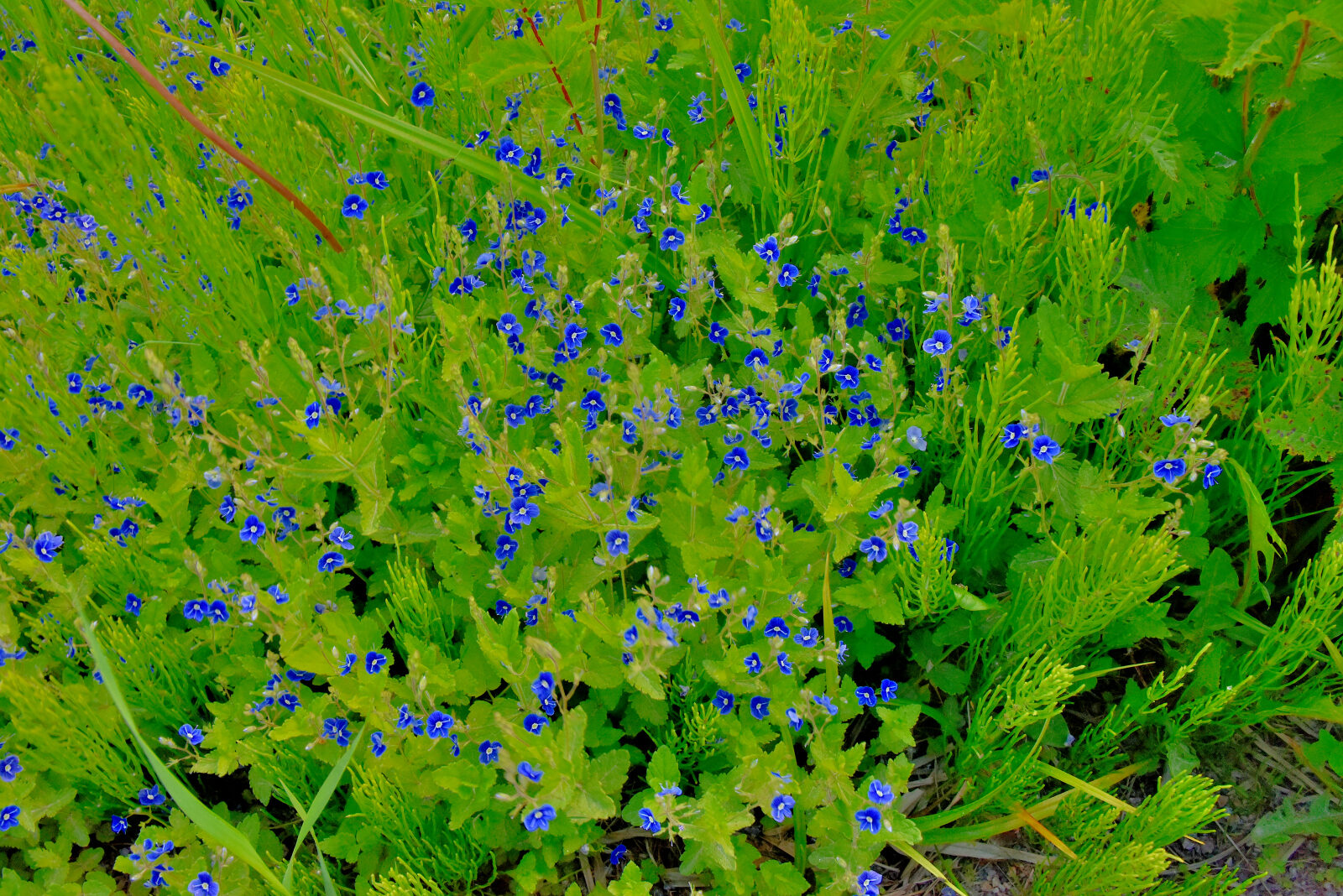 Valokuvaaja: Reijo Juurinen