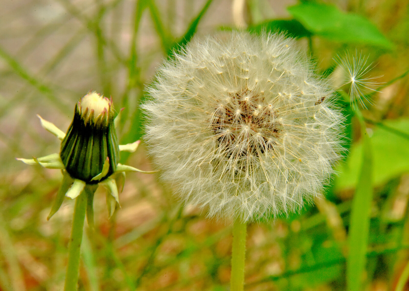 Valokuvaaja: Reijo Juurinen