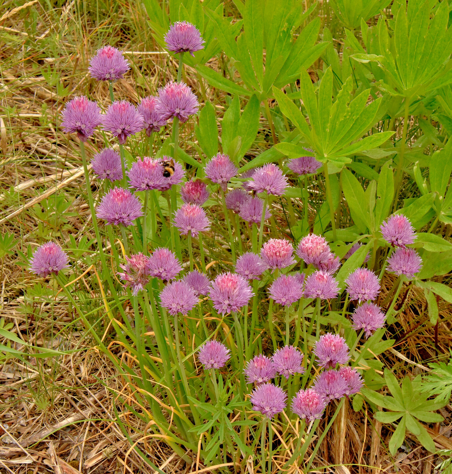 Valokuvaaja: Reijo Juurinen