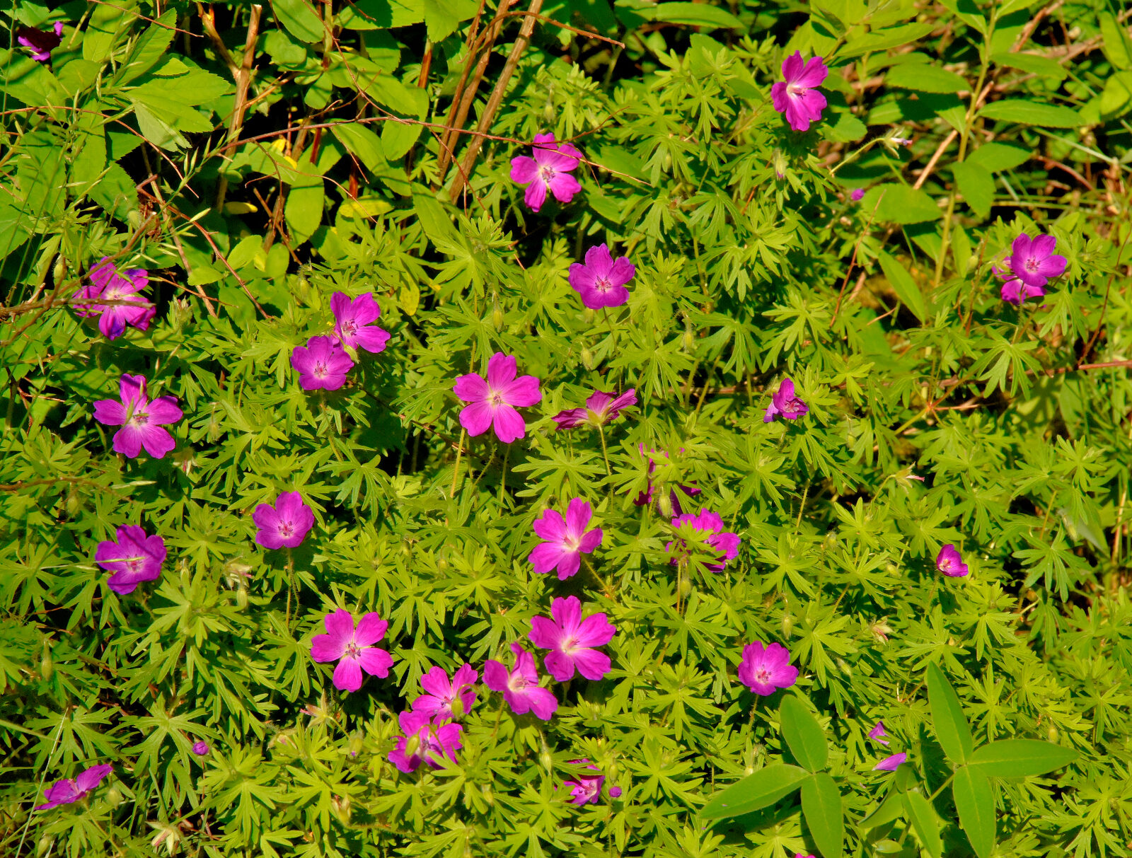 Valokuvaaja: Reijo Juurinen