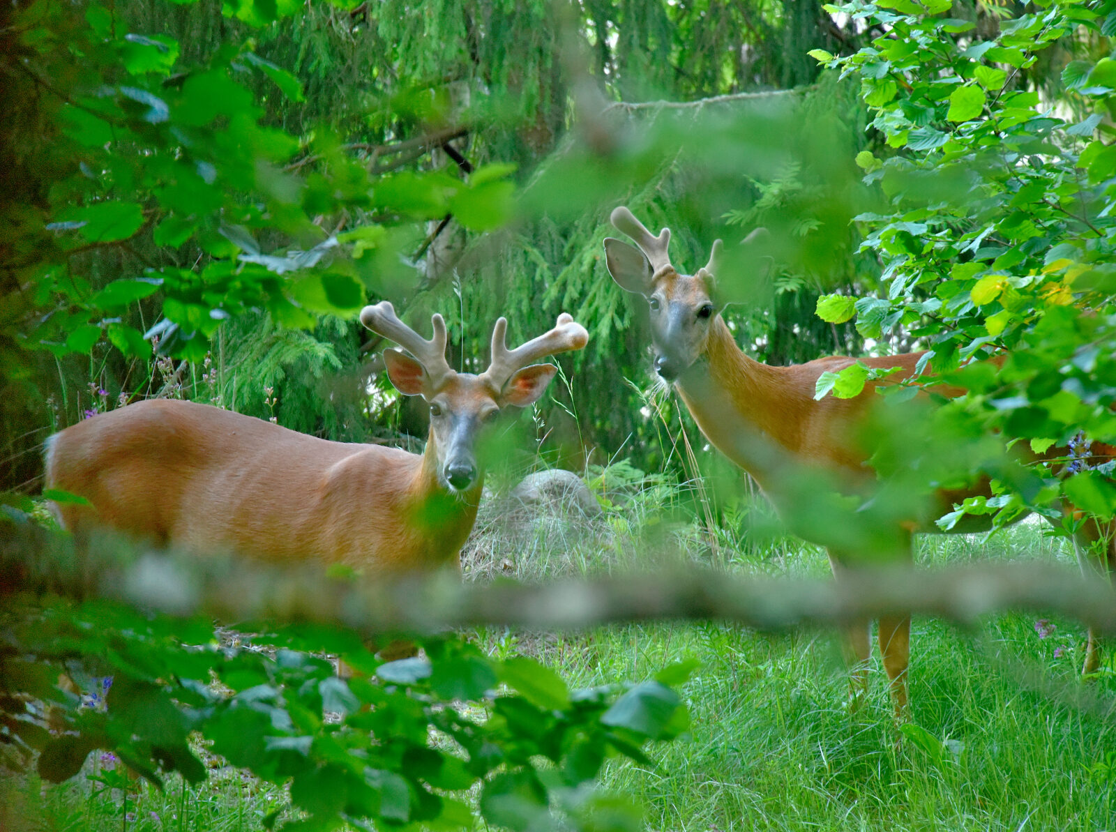 Valokuvaaja: Reijo Juurinen