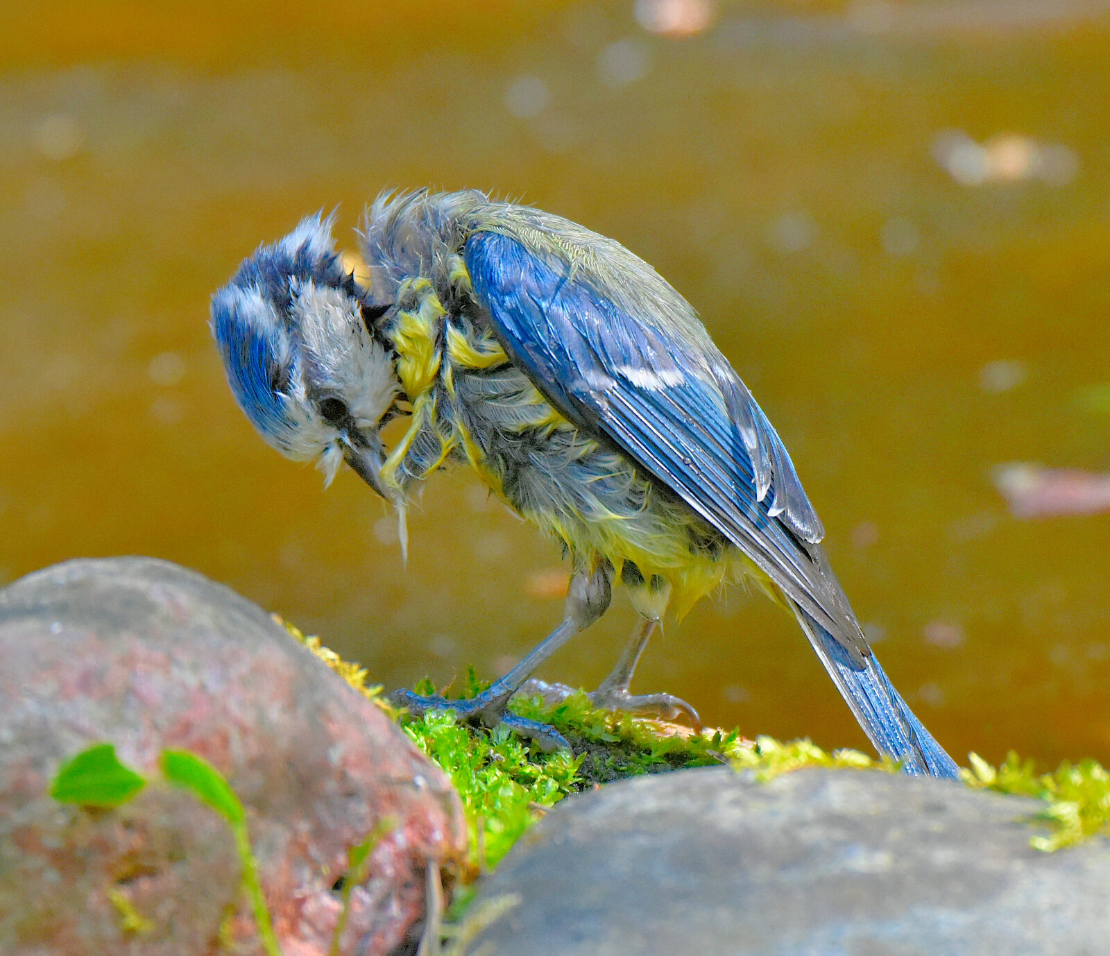 Valokuvaaja: Reijo Juurinen