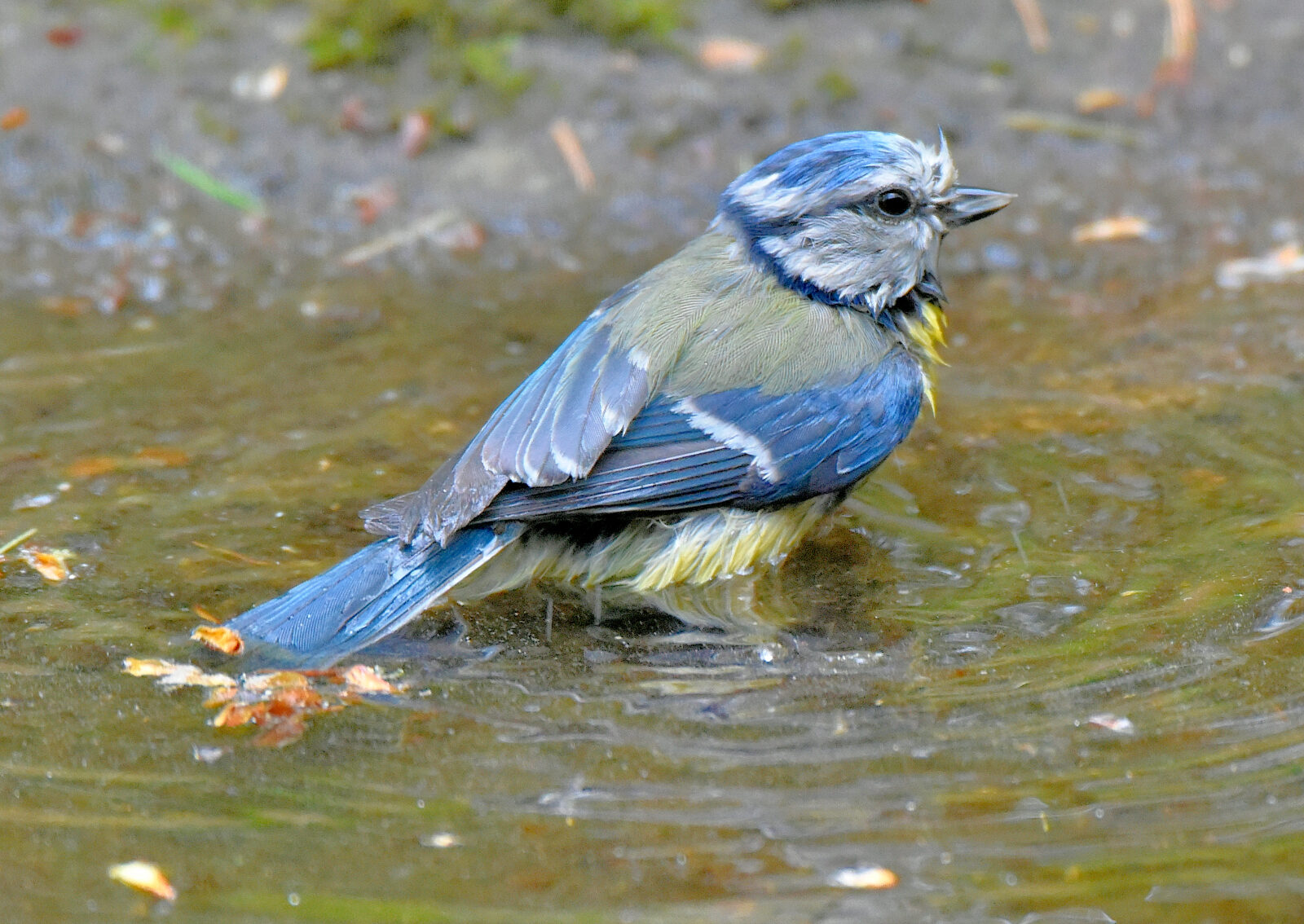 Valokuvaaja: Reijo Juurinen