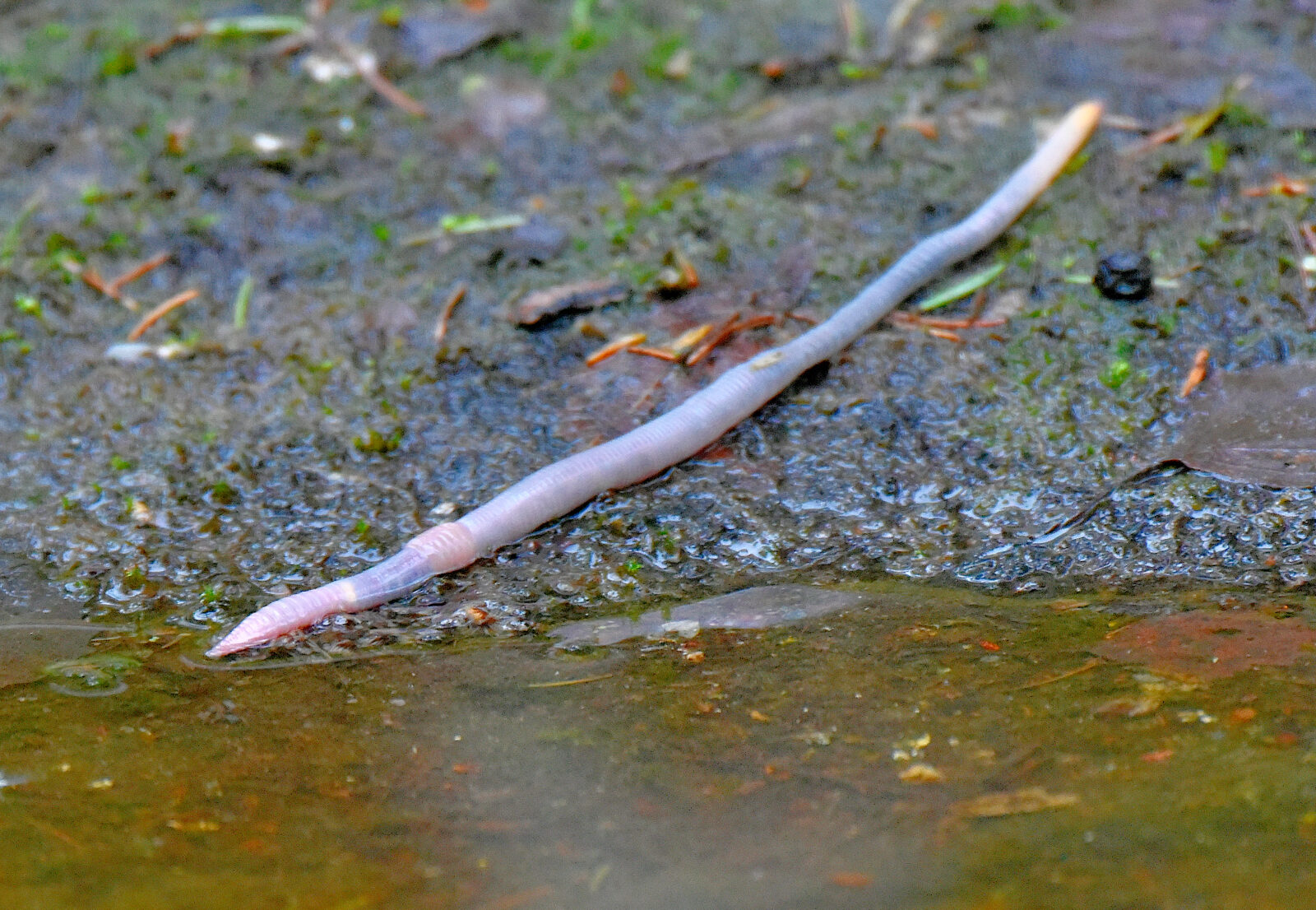 Valokuvaaja: Reijo Juurinen