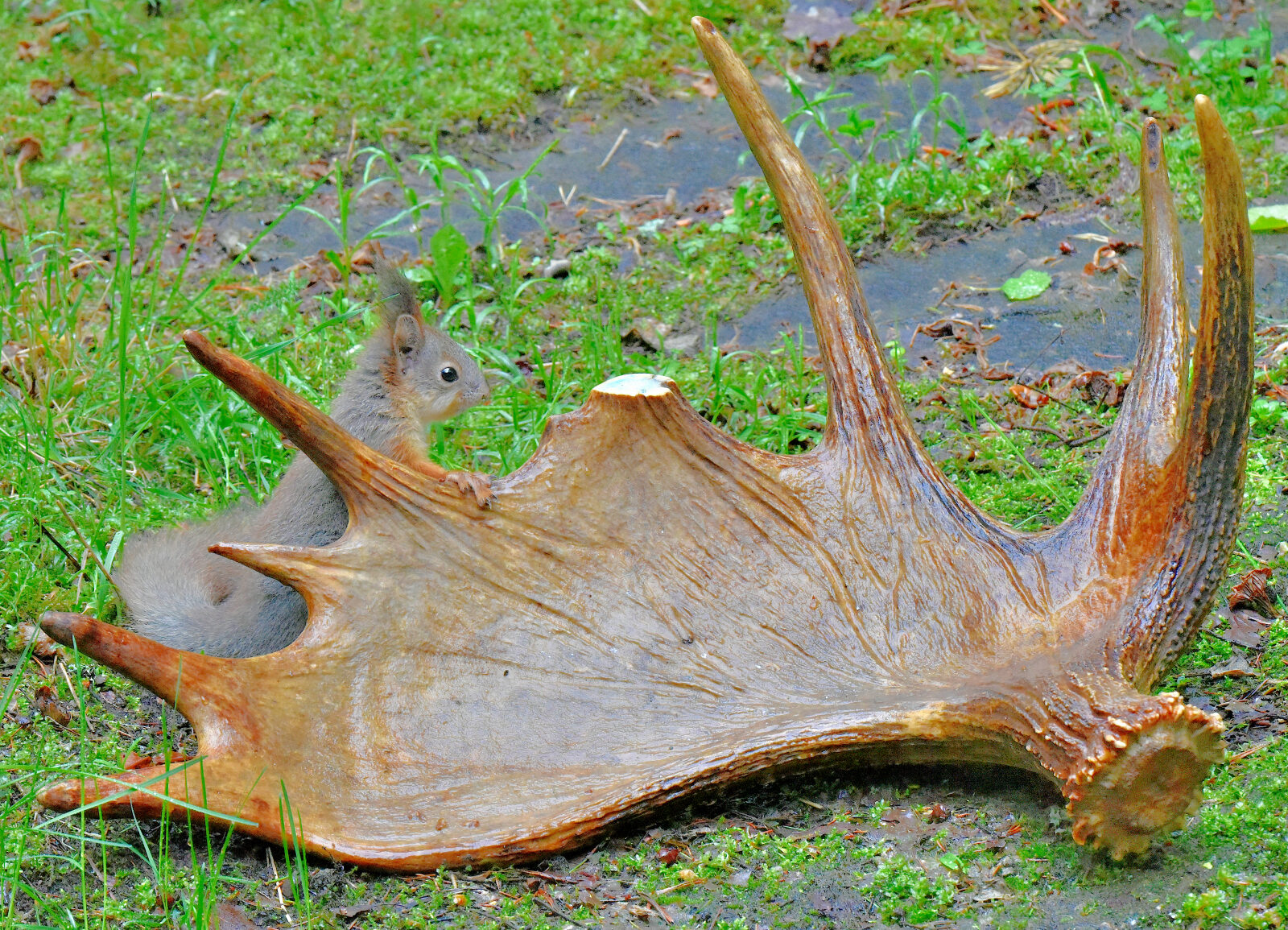Valokuvaaja: Reijo Juurinen