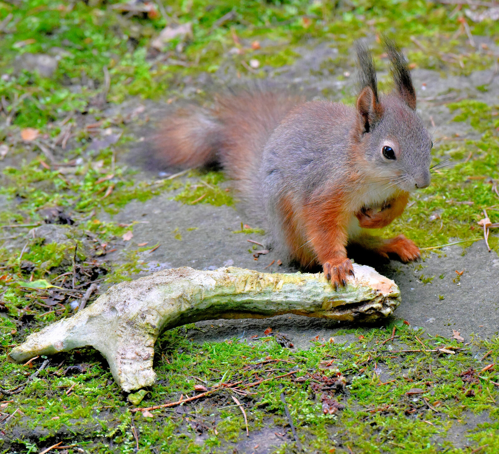 Valokuvaaja: Reijo Juurinen