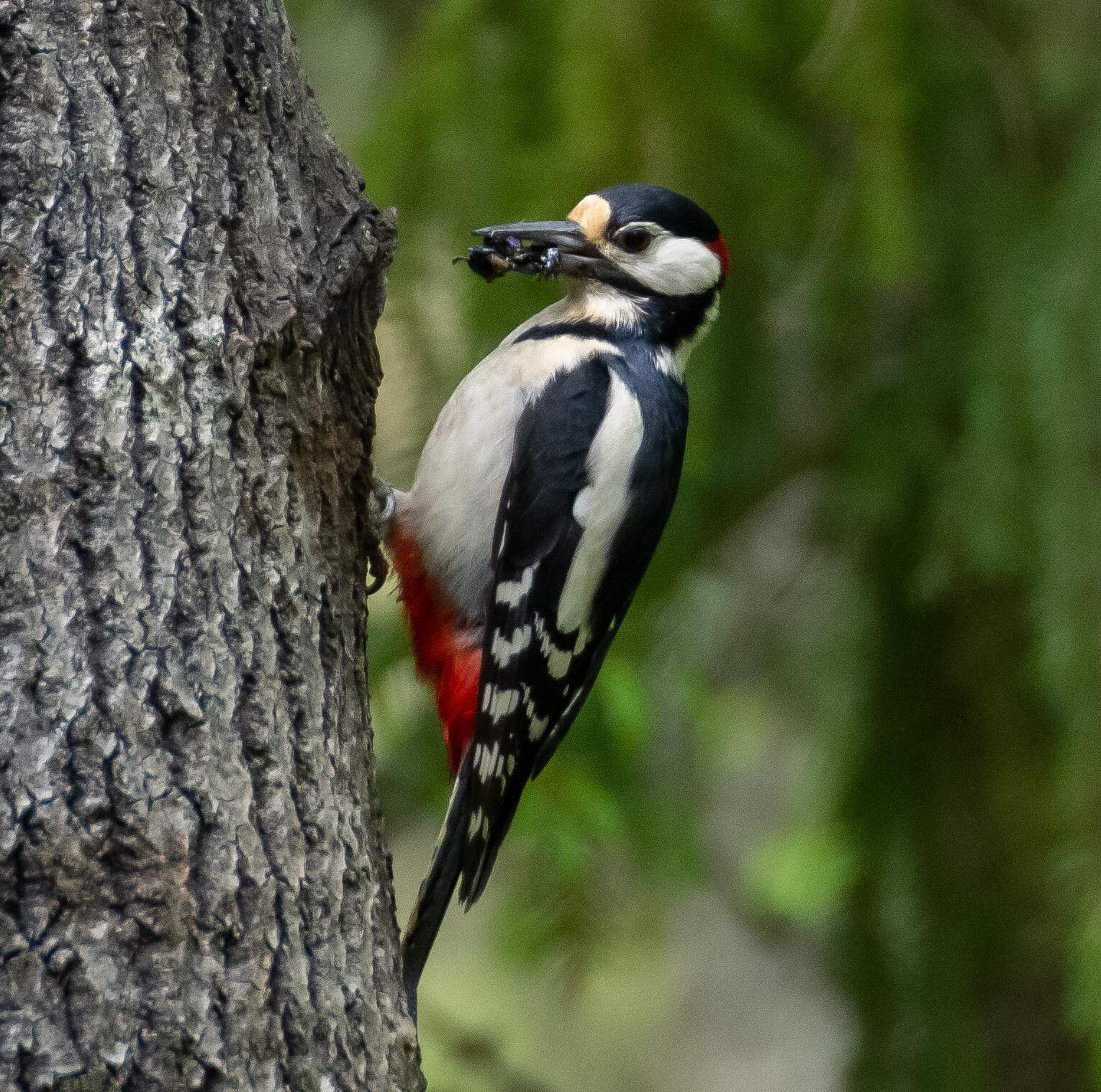 Valokuvaaja: Tuula Komsi