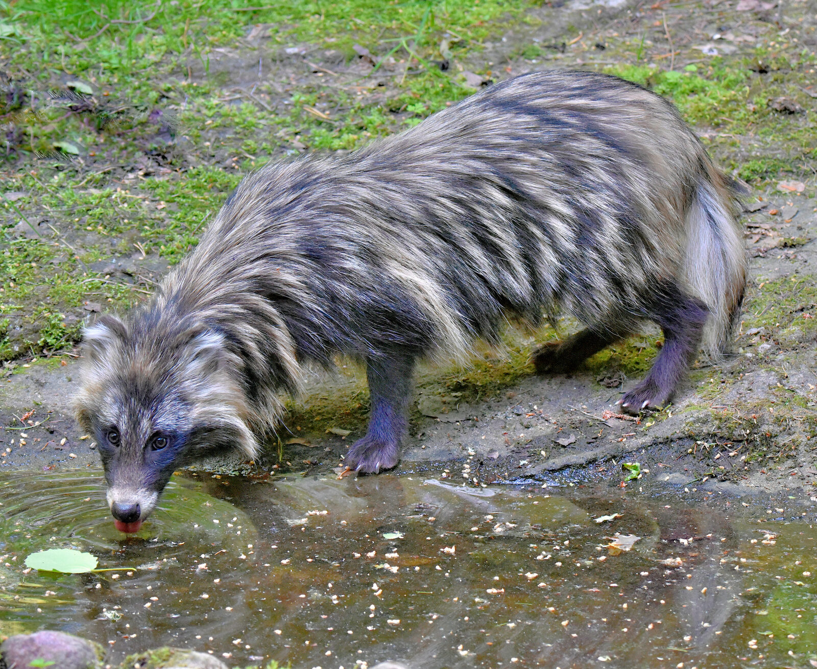 Valokuvaaja: Reijo Juurinen