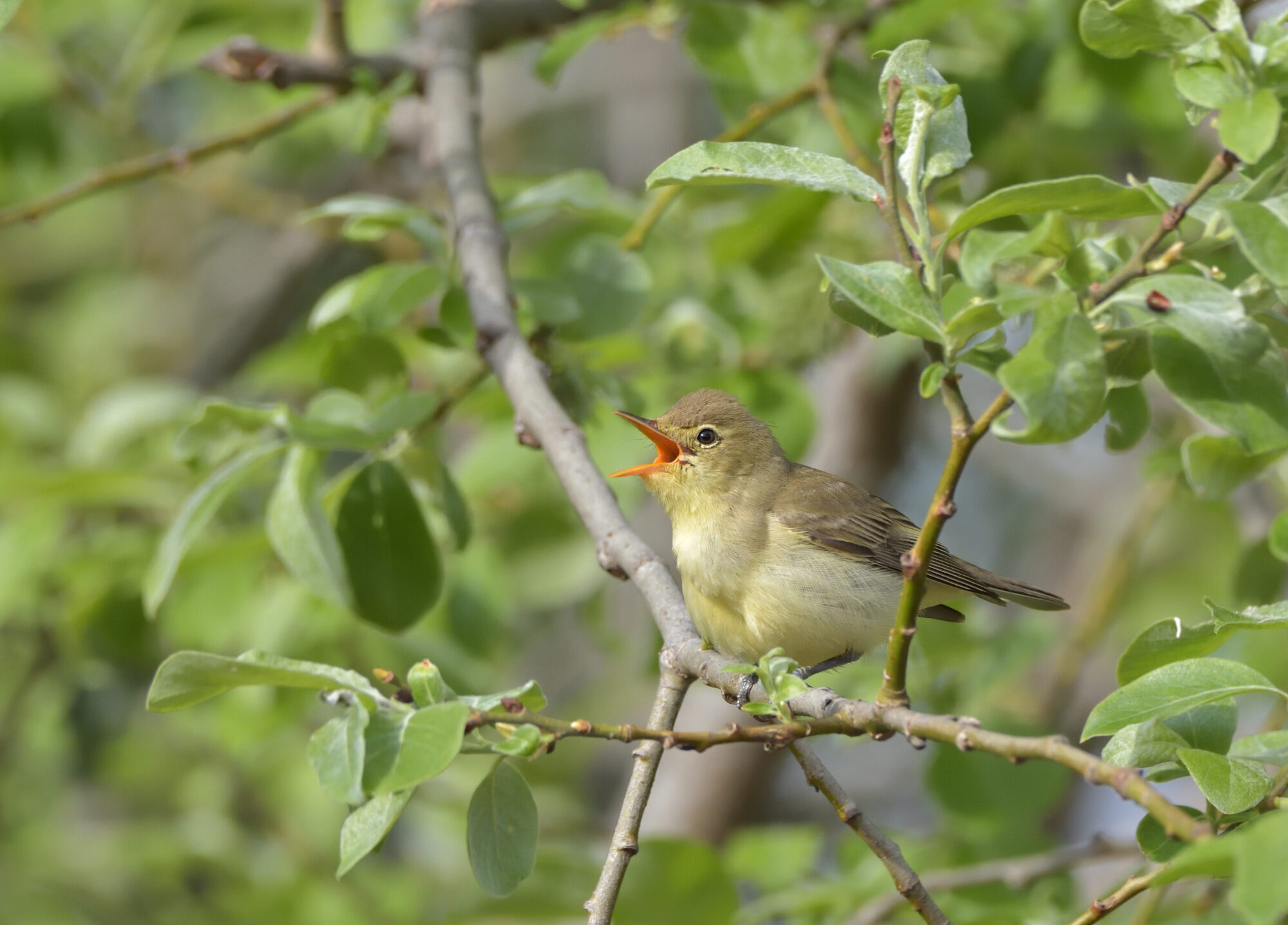 Valokuvaaja: Asko Heikkinen