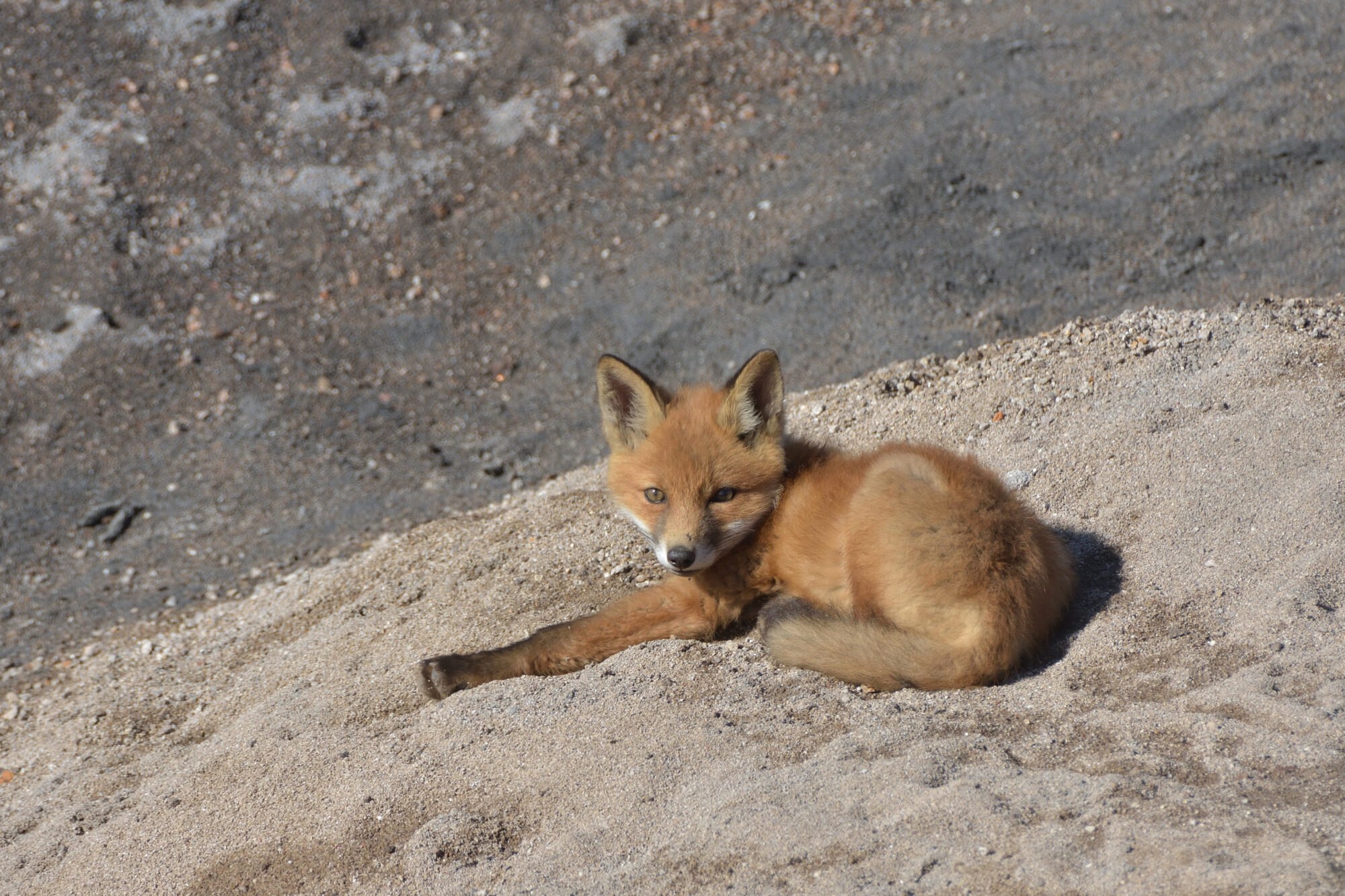 Valokuvaaja: Asko Heikkinen