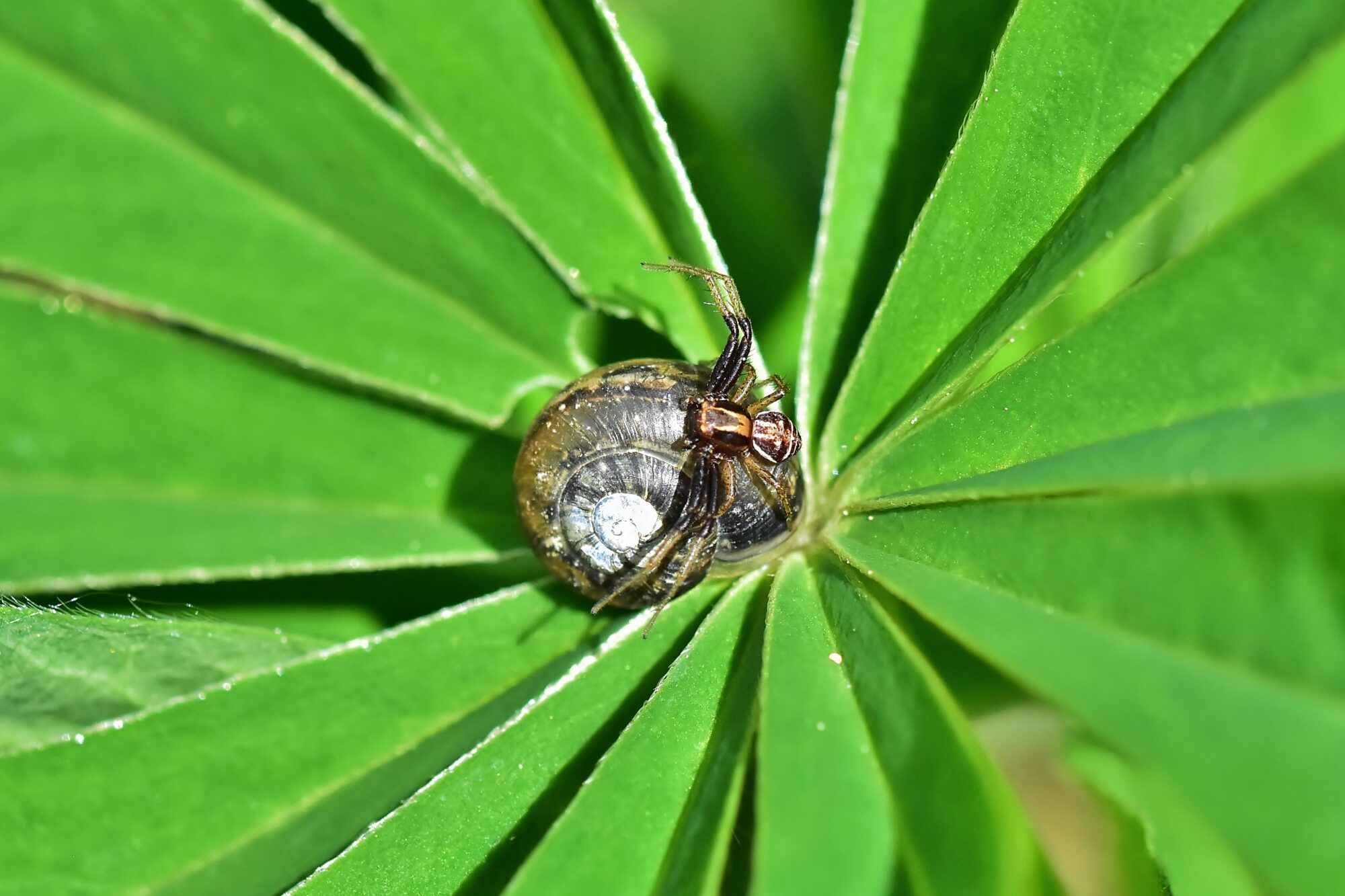Valokuvaaja: Markku Pelkonen Valokuvaaja: Markku Pelkonen