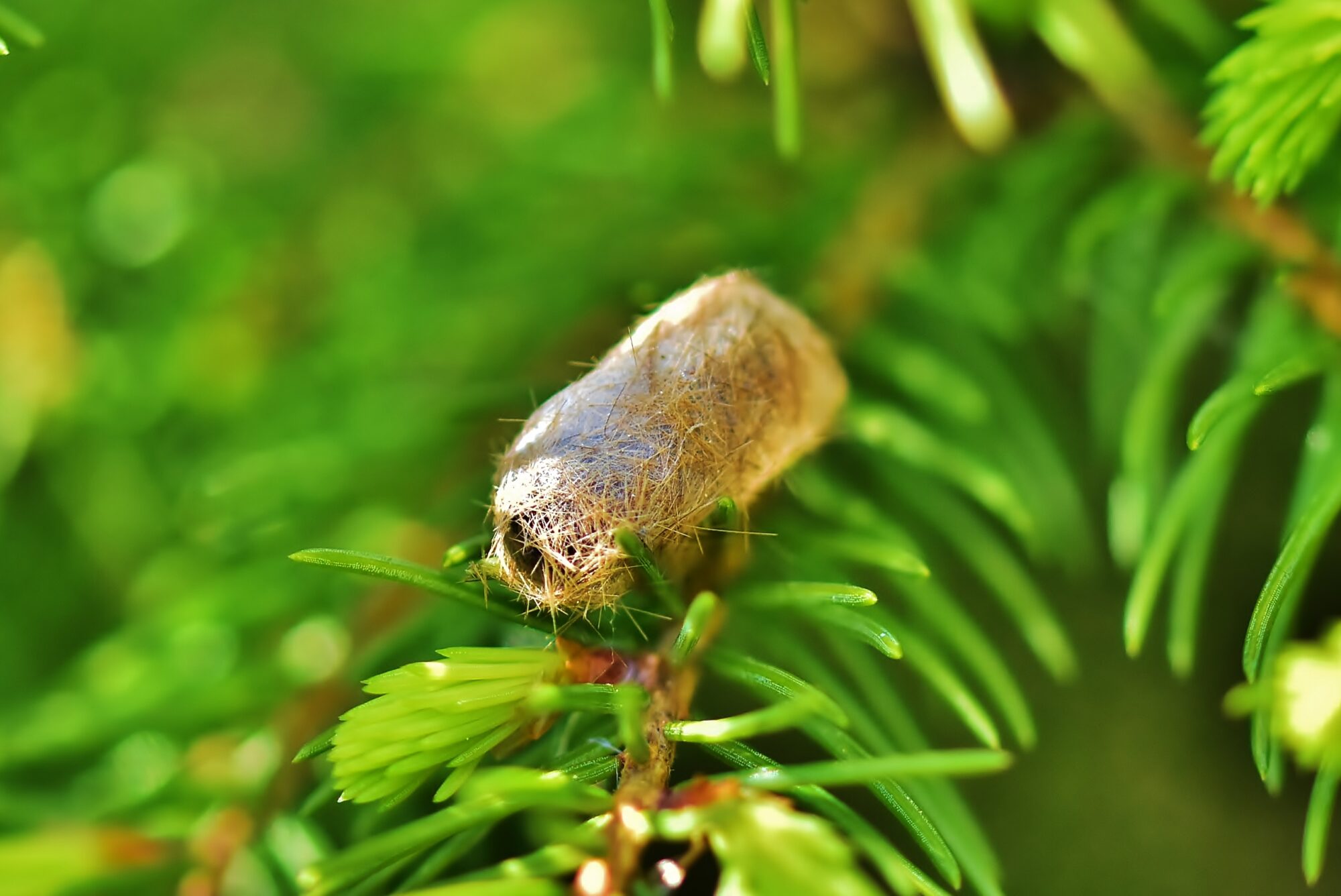 Valokuvaaja: Markku Pelkonen