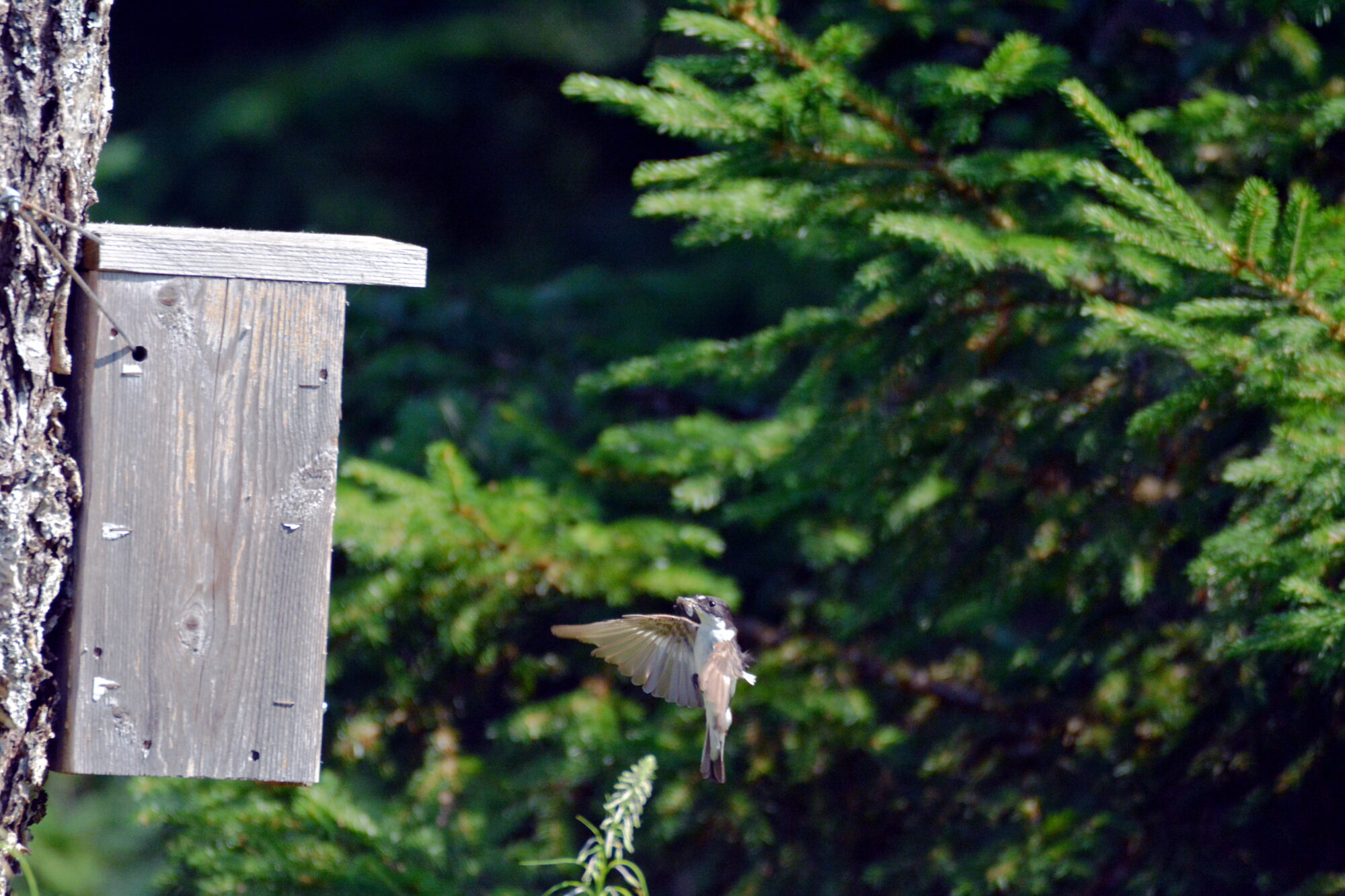Valokuvaaja: Harry Yli-Uotila Valokuvaaja: Harry Yli-Uotila