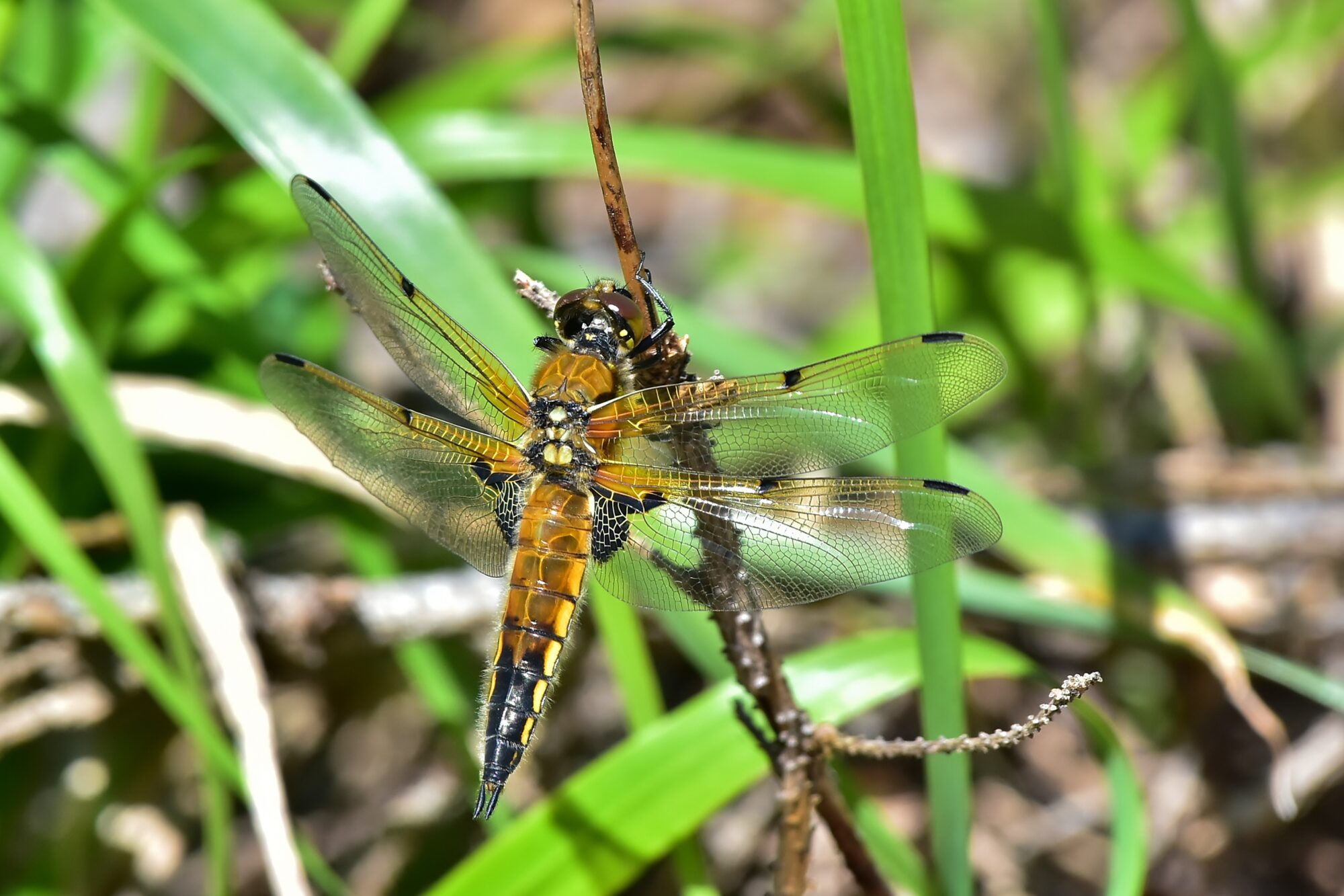 Valokuvaaja: Markku Pelkonen