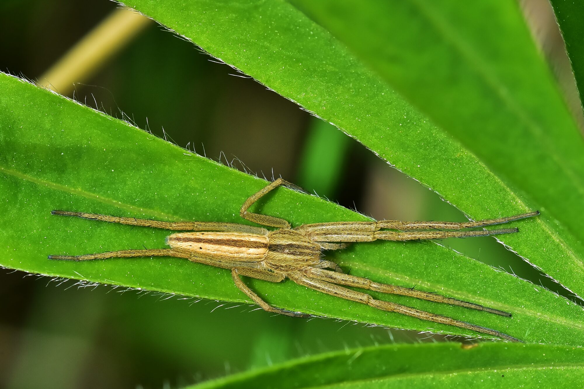 Valokuvaaja: Markku Pelkonen