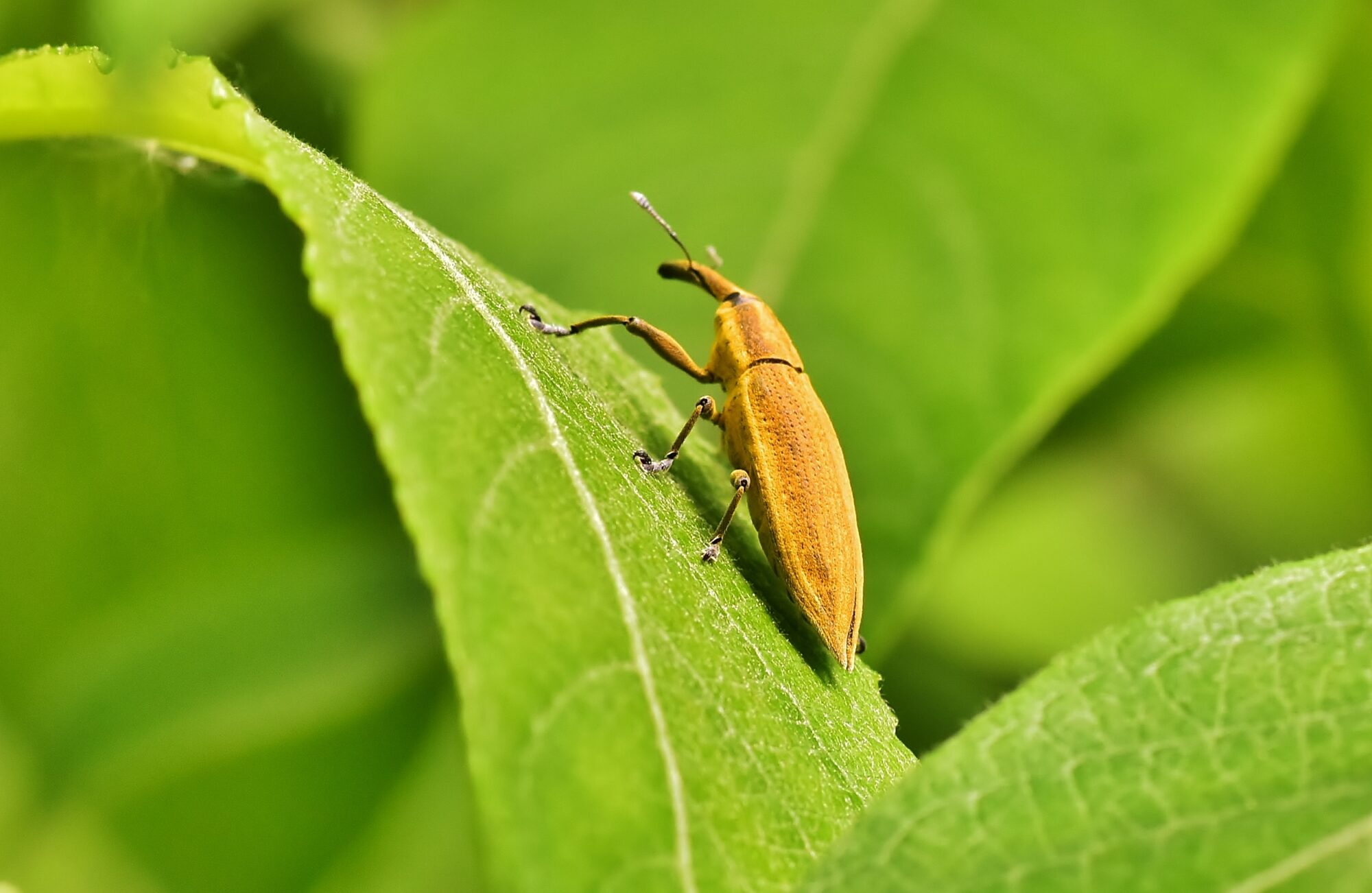 Valokuvaaja: Markku Pelkonen