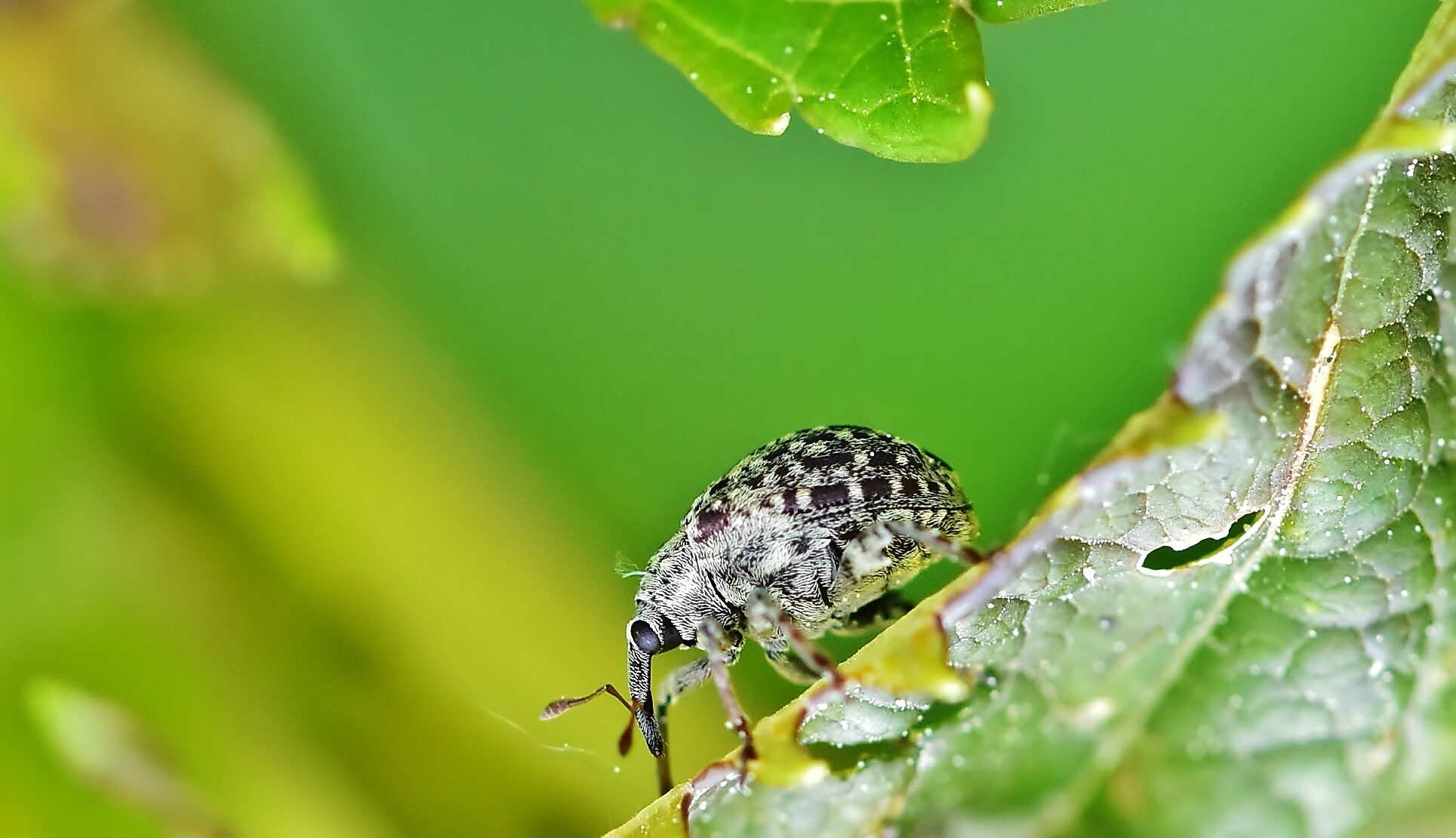 Valokuvaaja: Markku Pelkonen