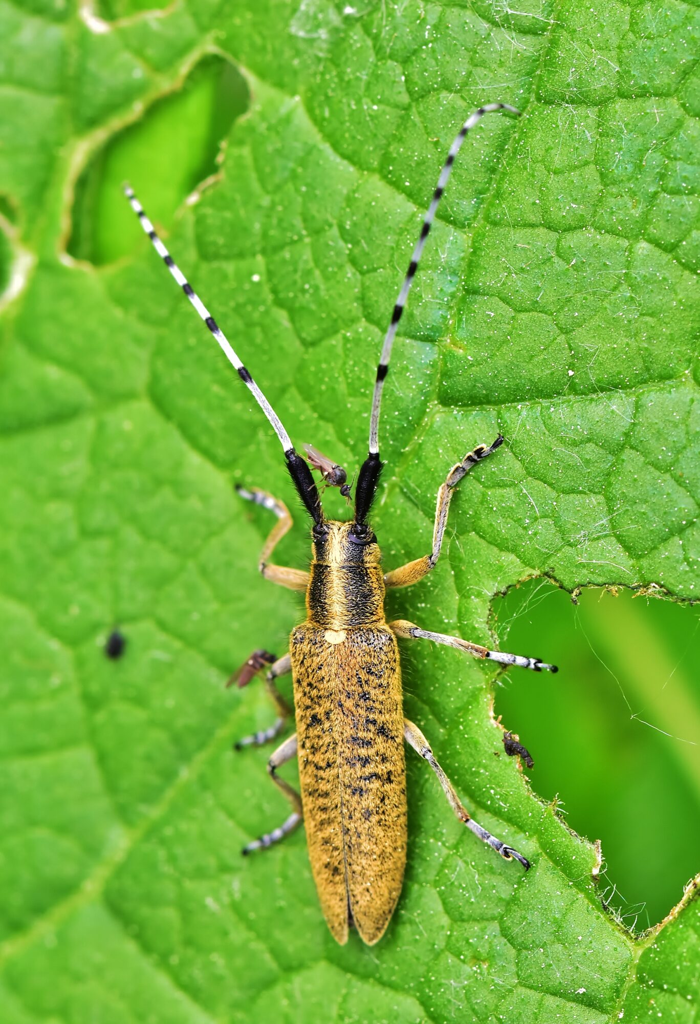 Valokuvaaja: Markku Pelkonen