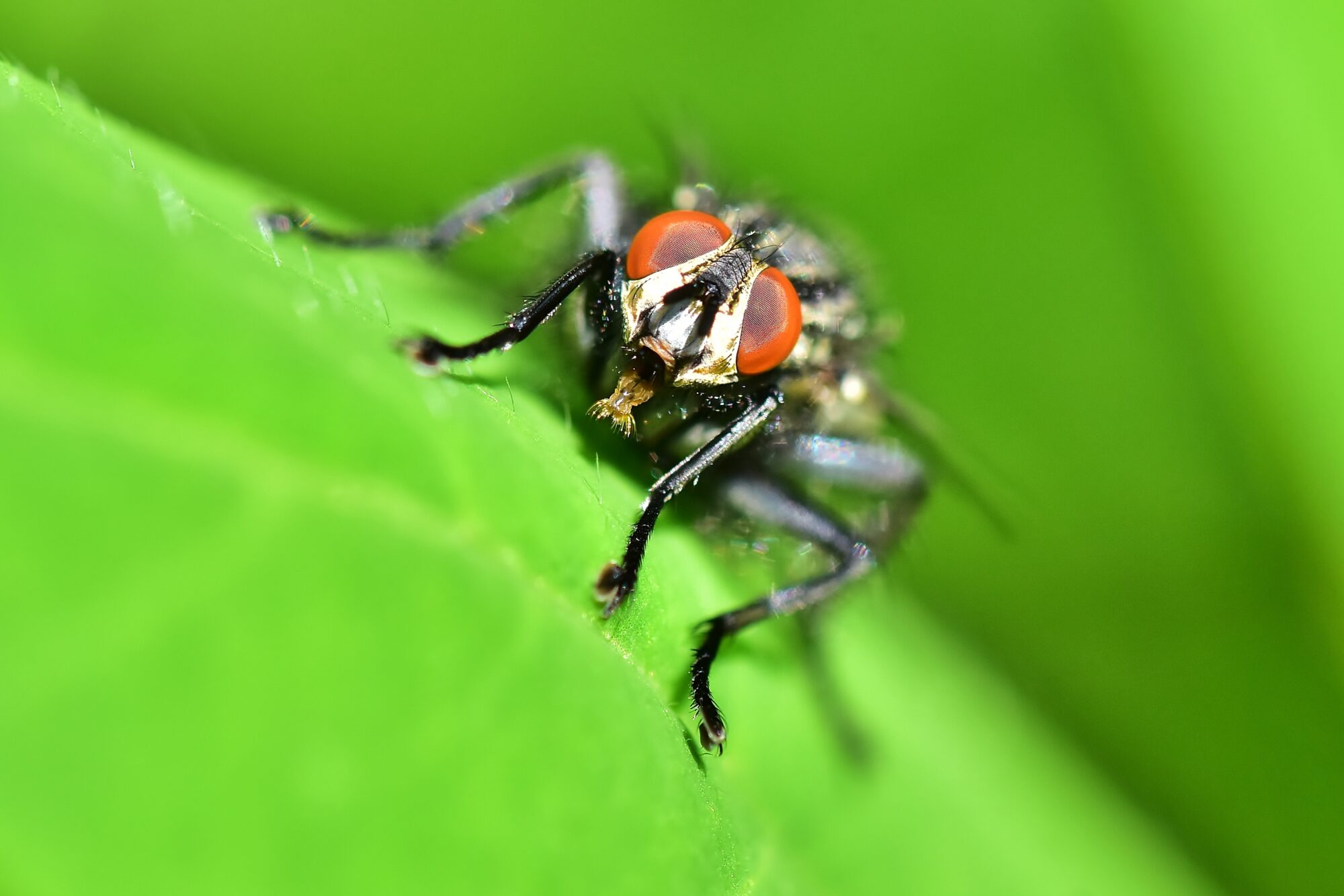 Valokuvaaja: Markku Pelkonen