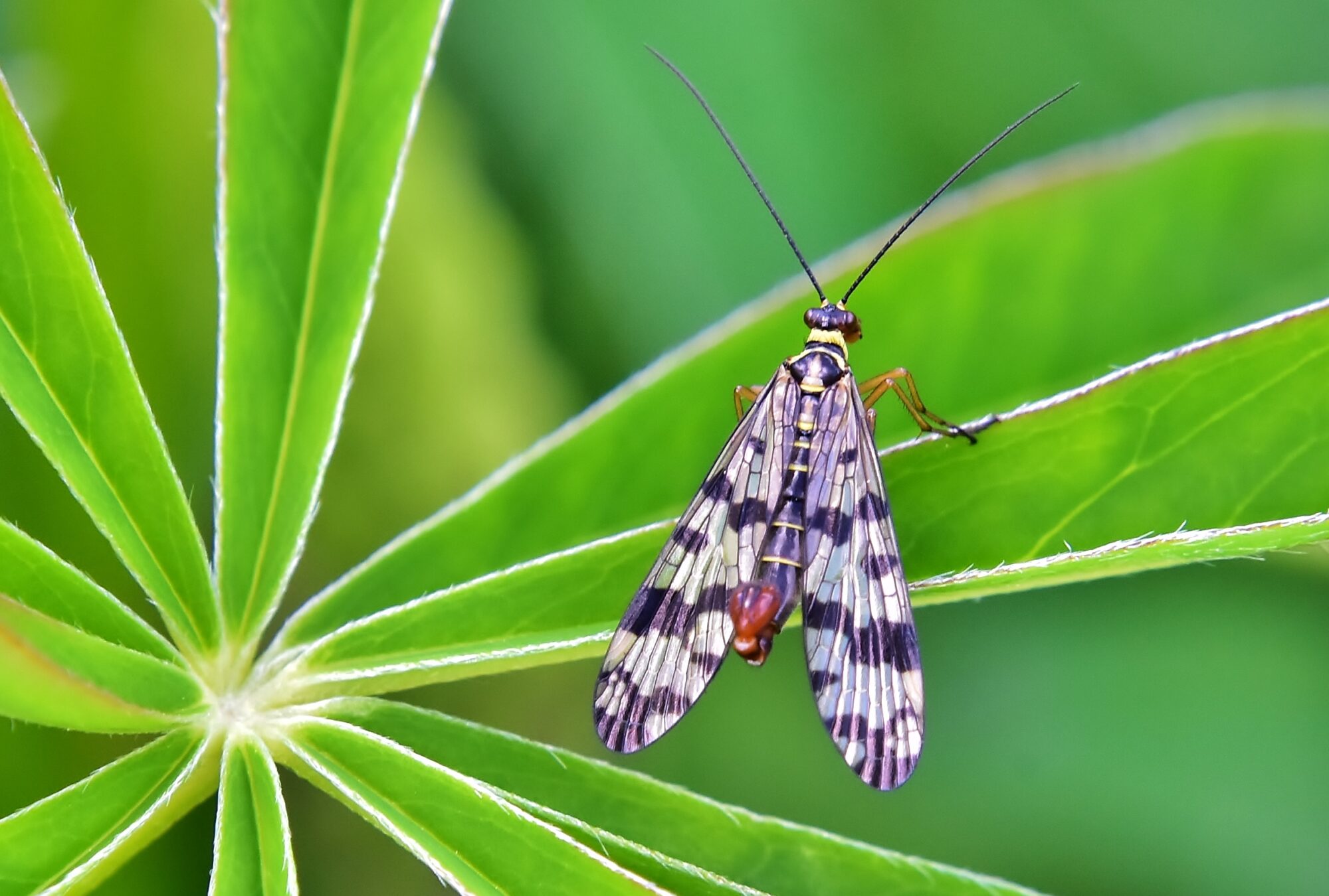 Valokuvaaja: Markku Pelkonen Valokuvaaja: Markku Pelkonen