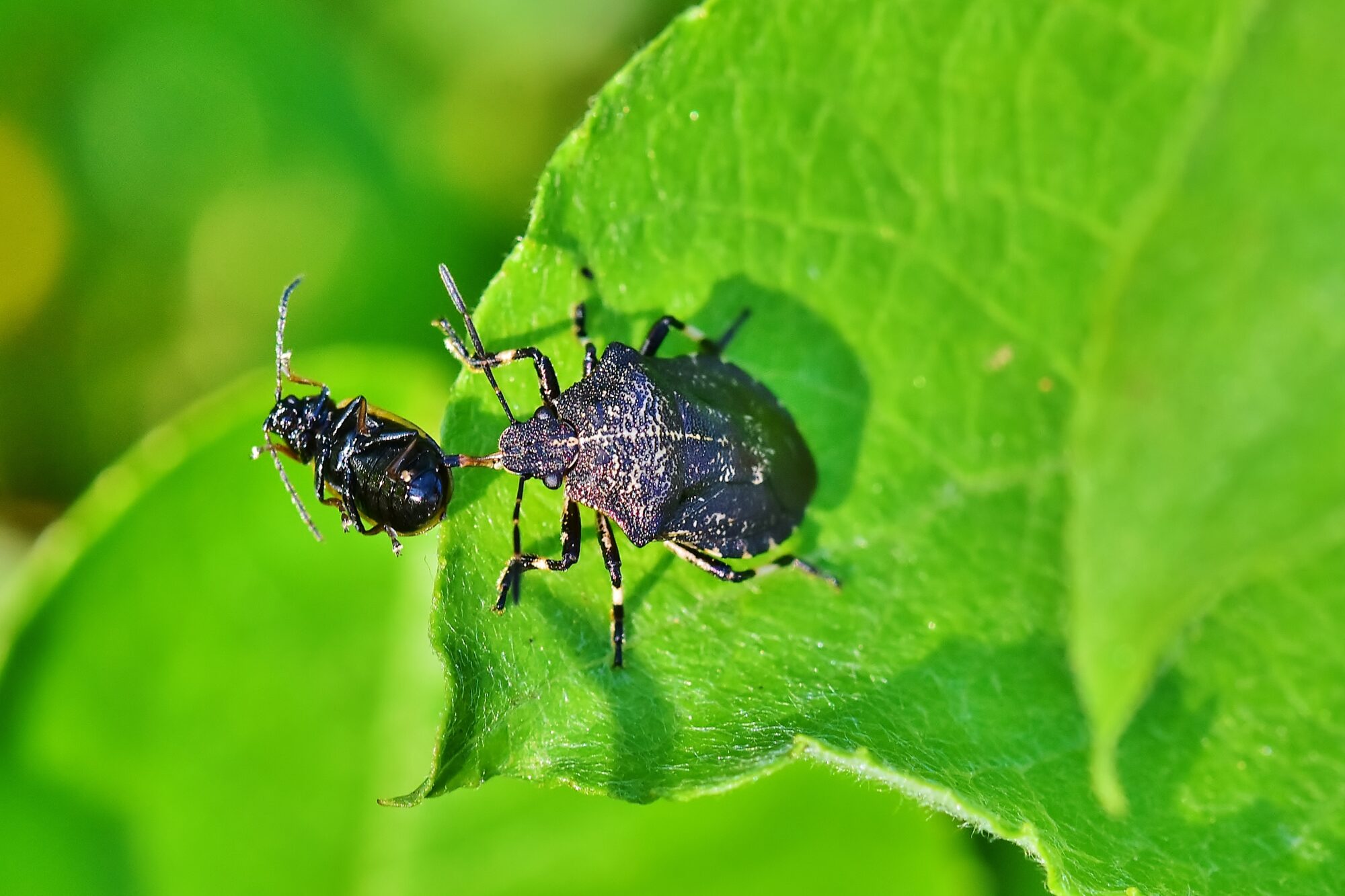Valokuvaaja: Markku Pelkonen