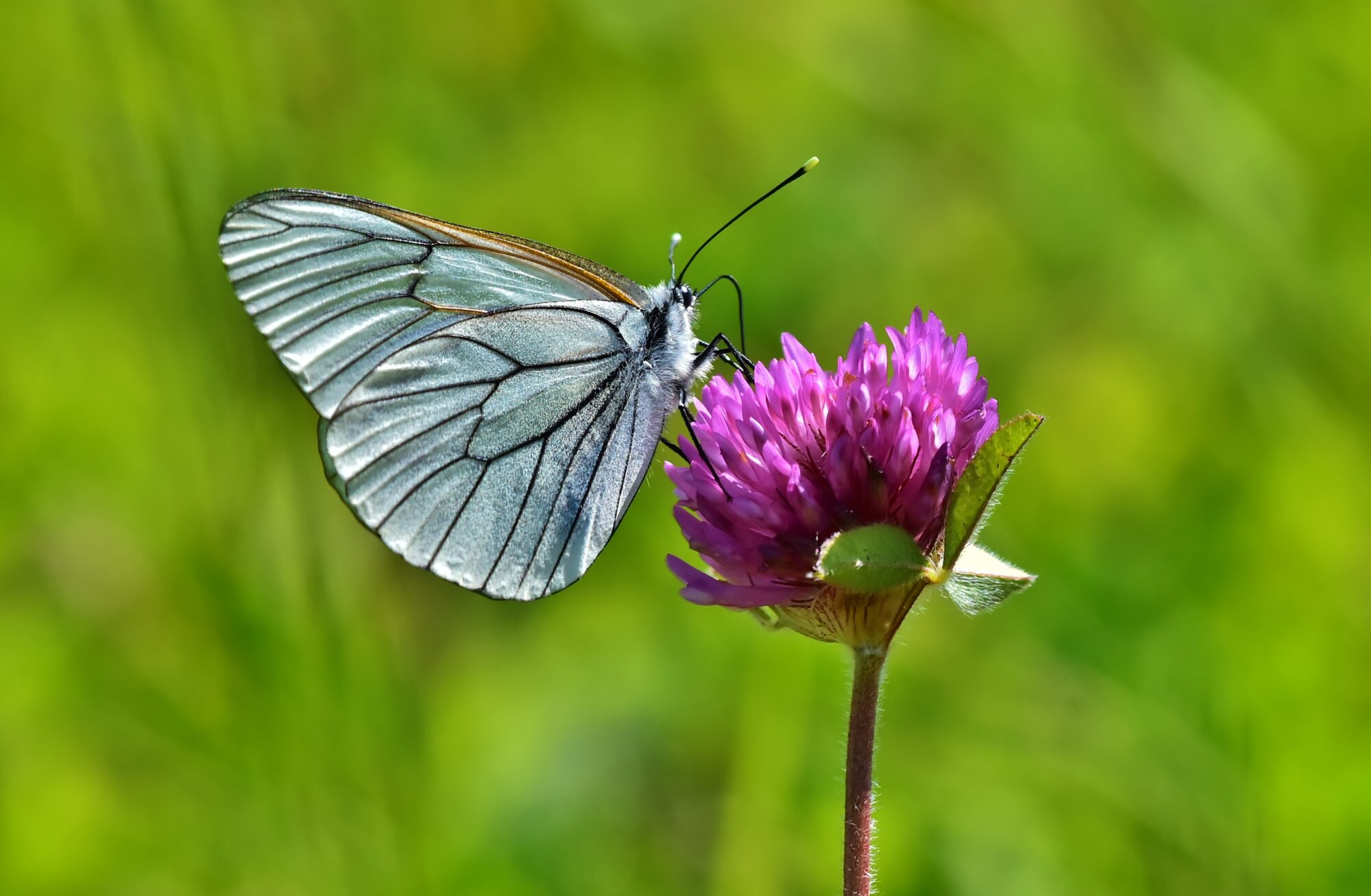 Valokuvaaja: Markku Pelkonen Valokuvaaja: Markku Pelkonen