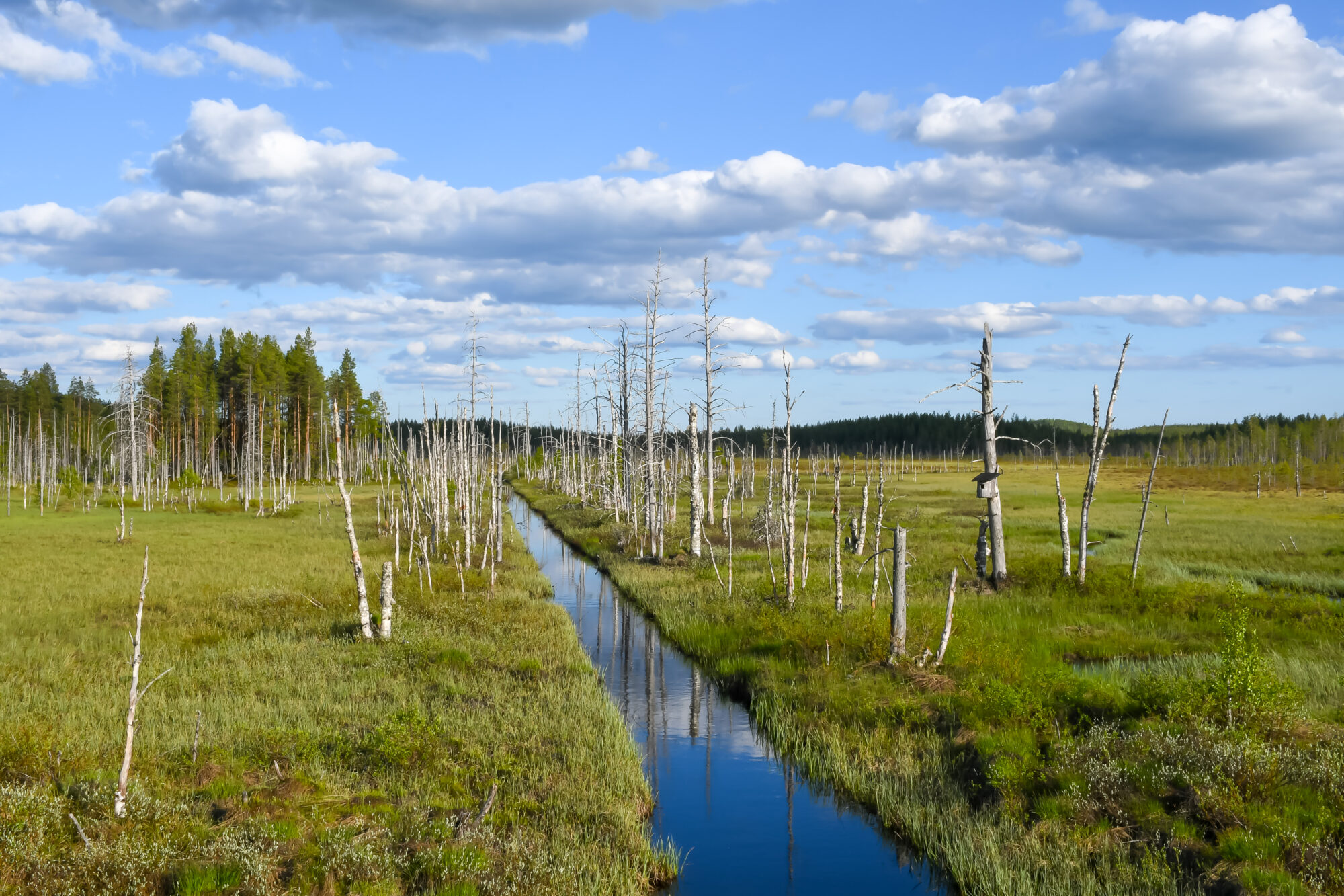 Valokuvaaja: Leena Rissanen